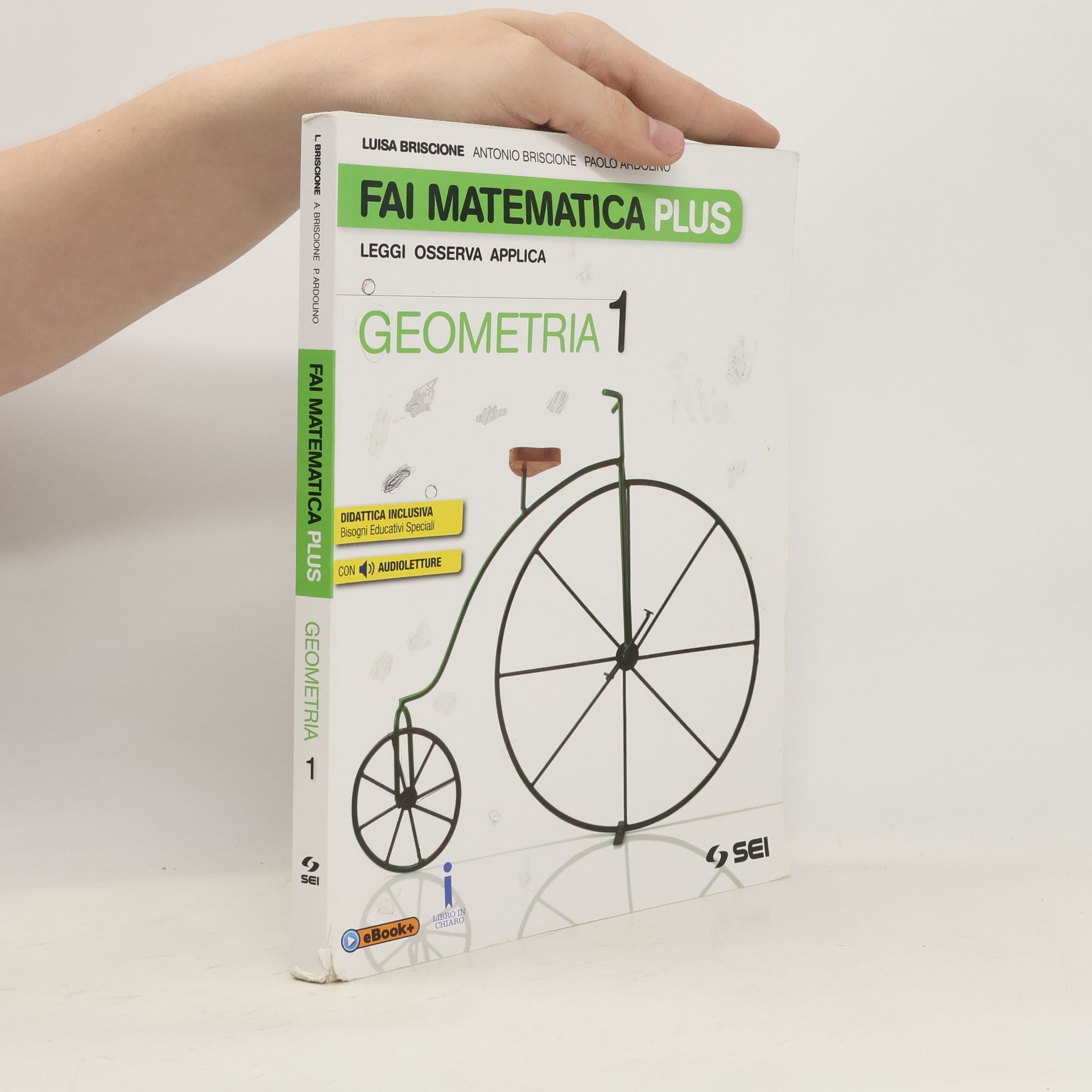 Luisa Briscione Fai matematica plus. Geometria 1