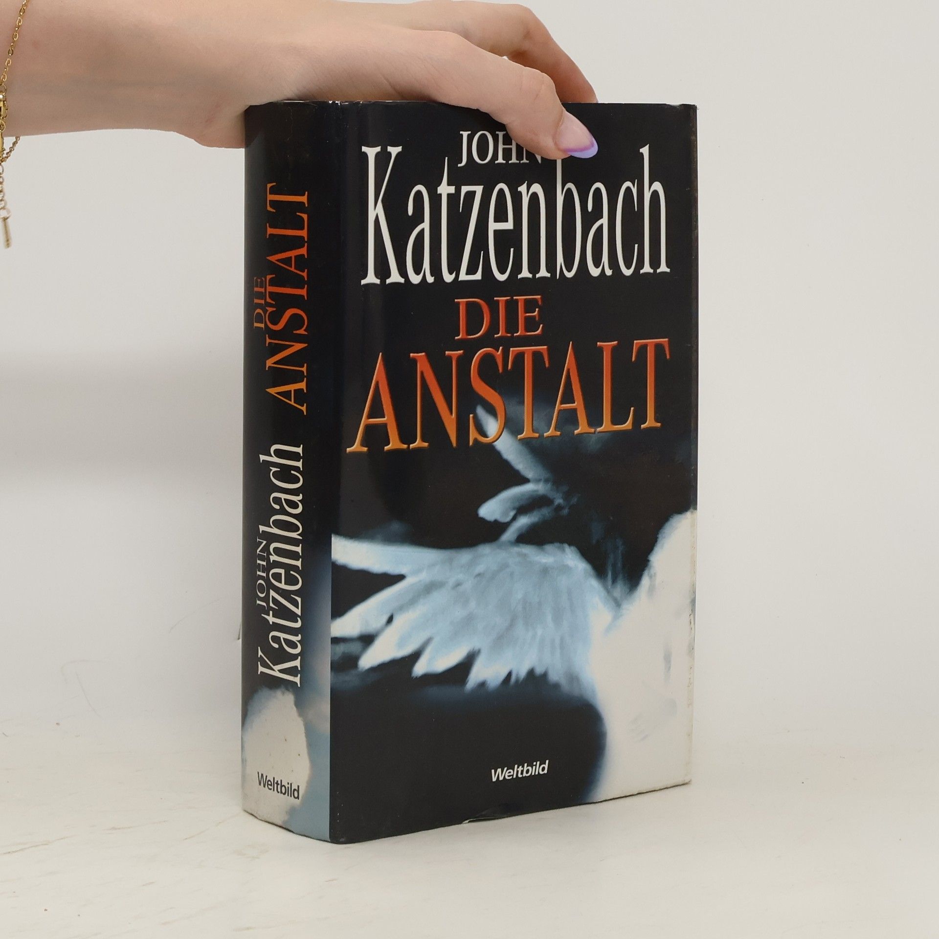 John Katzenbach Die Anstalt
