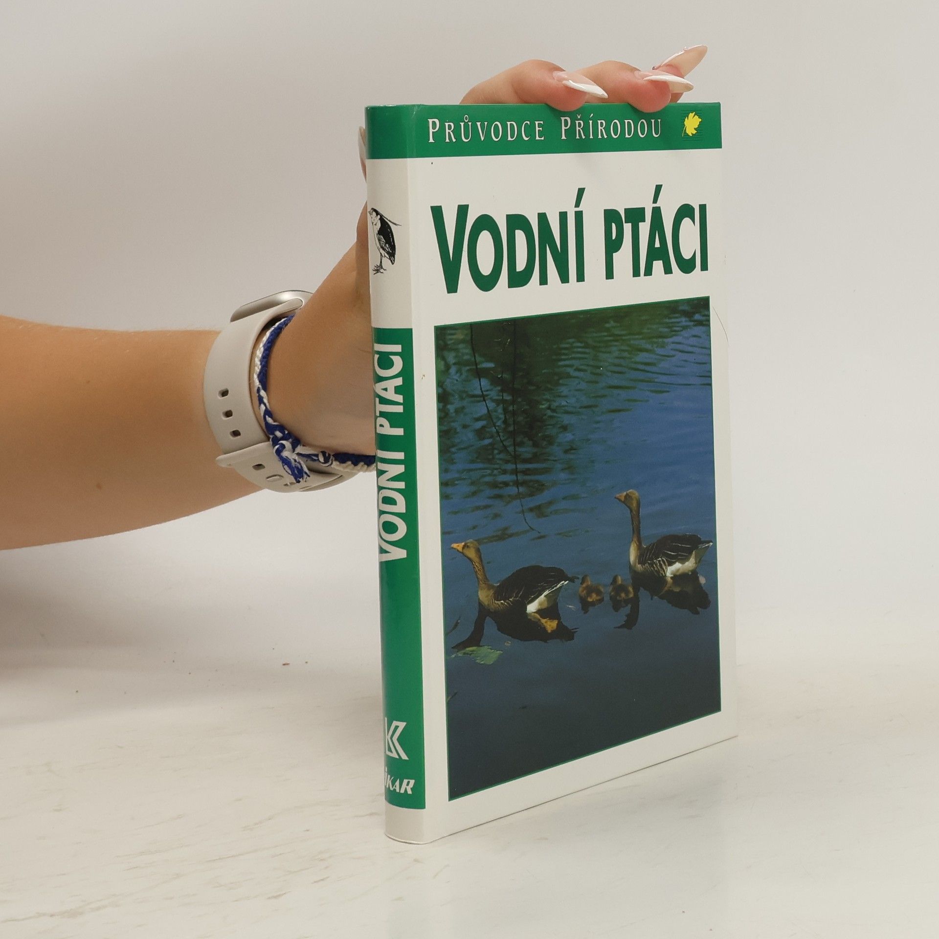 Sauer Frieder Vodní ptáci