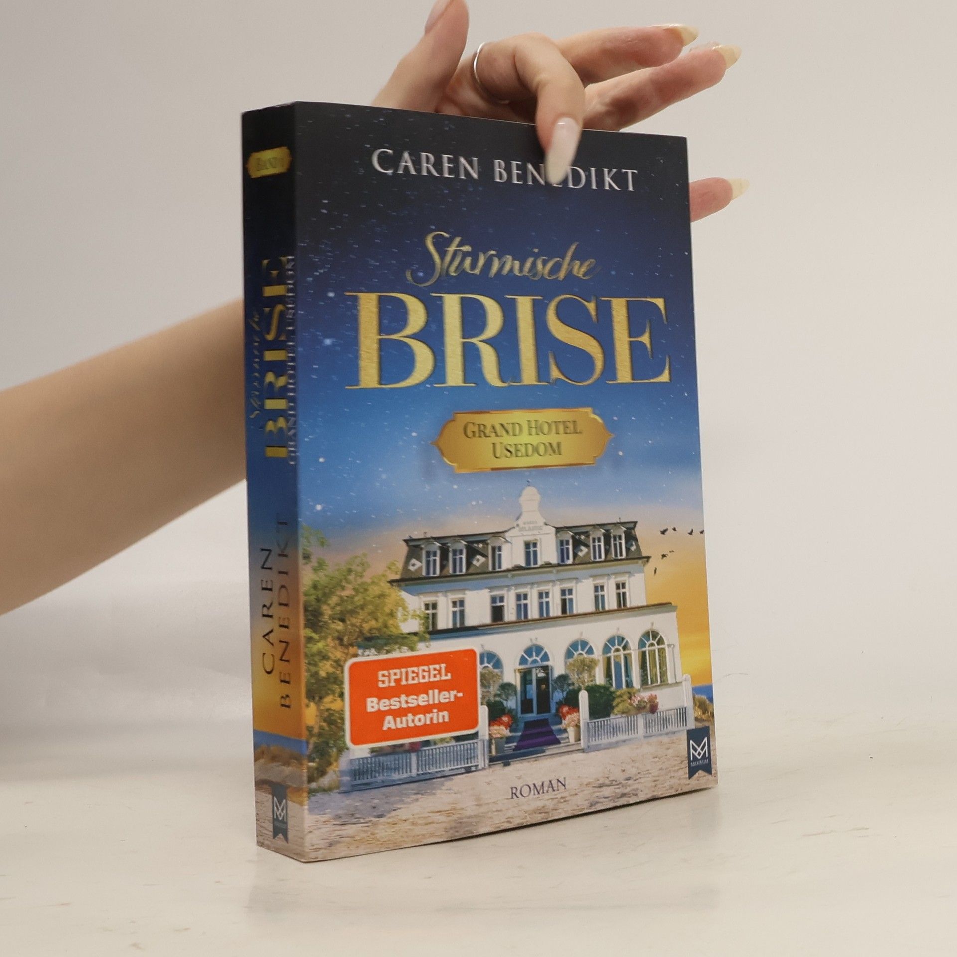 Caren Benedikt Stürmische Brise