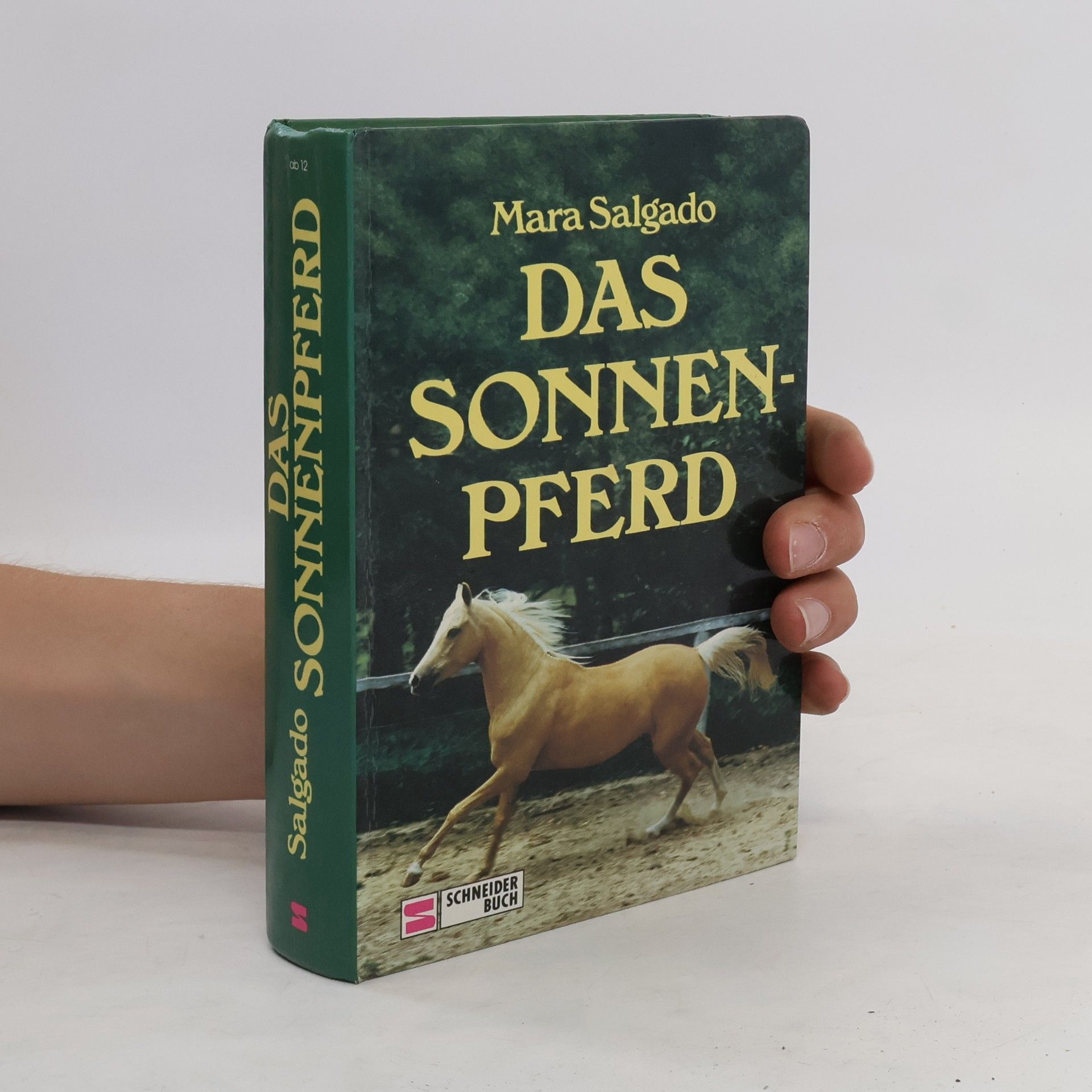 Mara Salgado Das Sonnenpferd