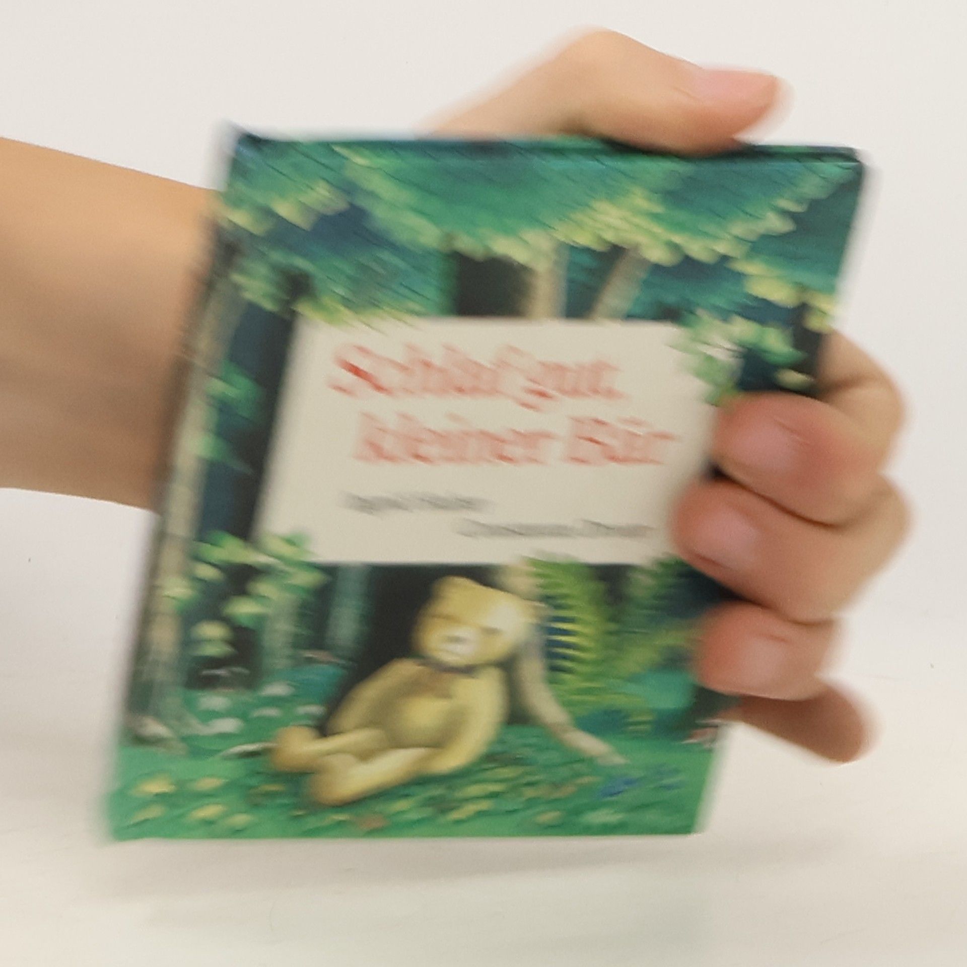 Ingrid Huber Schlaf gut, kleiner Bär