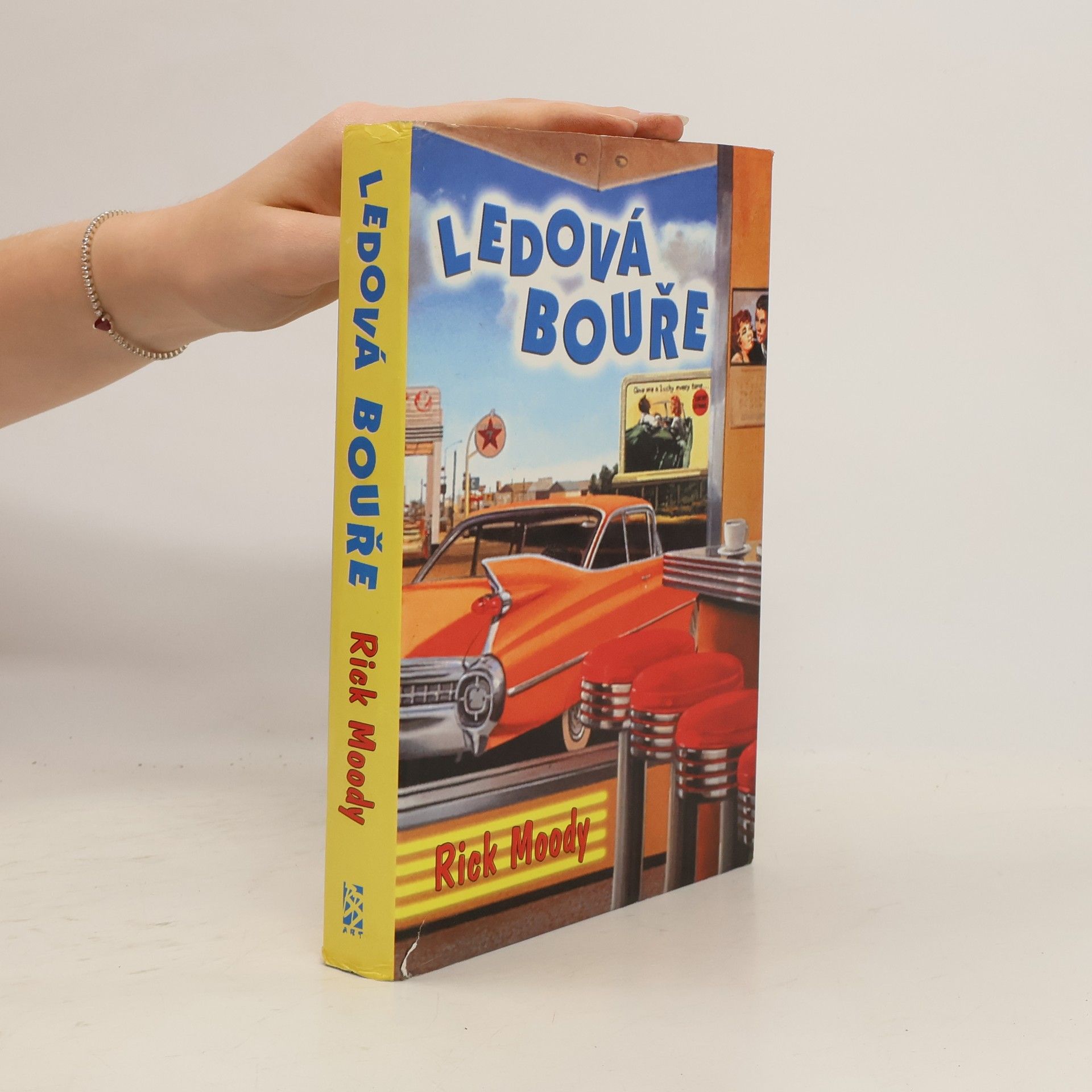 Rick Moody Ledová bouře