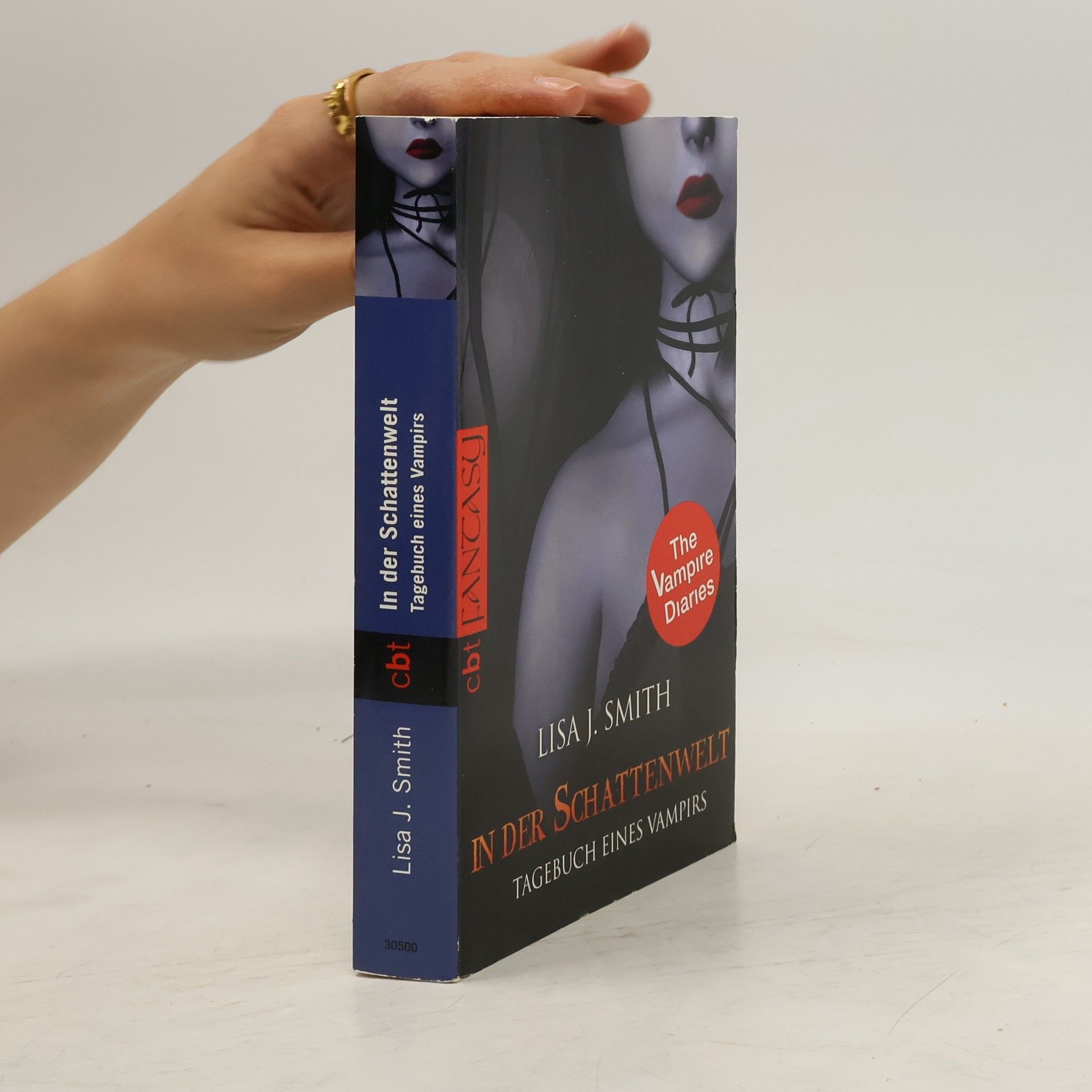 L. J. Smith Tagebuch eines Vampirs 4