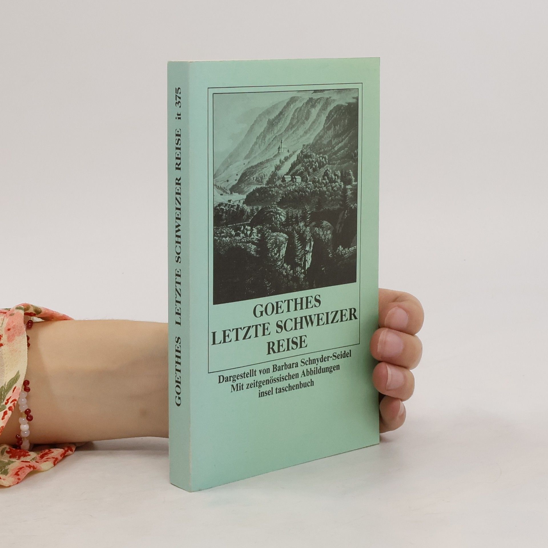 Barbara Schnyder Seidel Goethes letzte Schweizer Reise