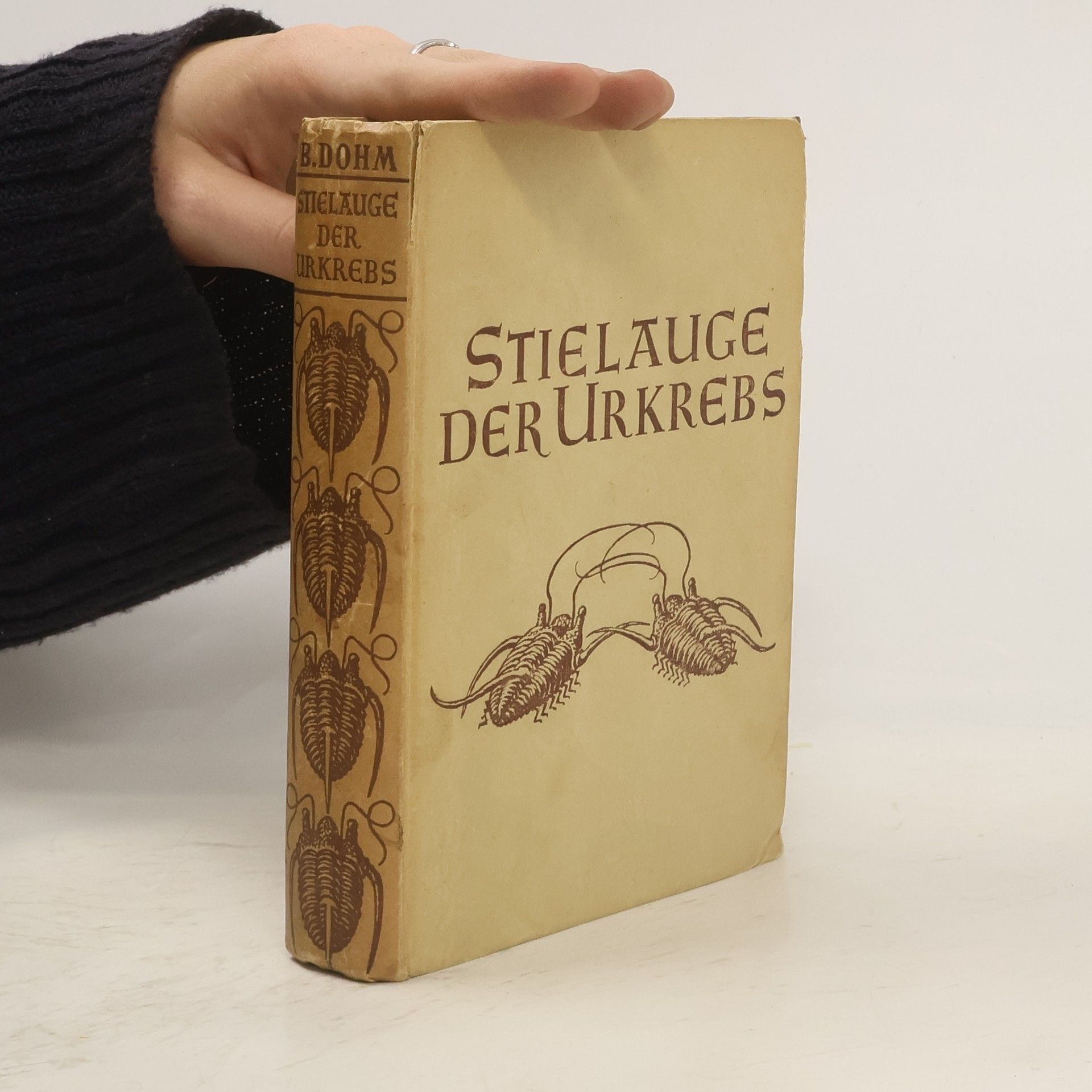 Batti Dohm Stielauge der Urkrebs