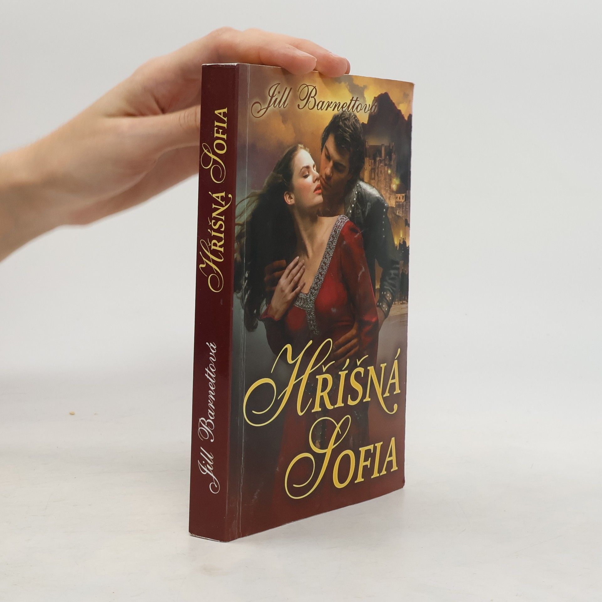 Jill Barnett Hříšná Sofia