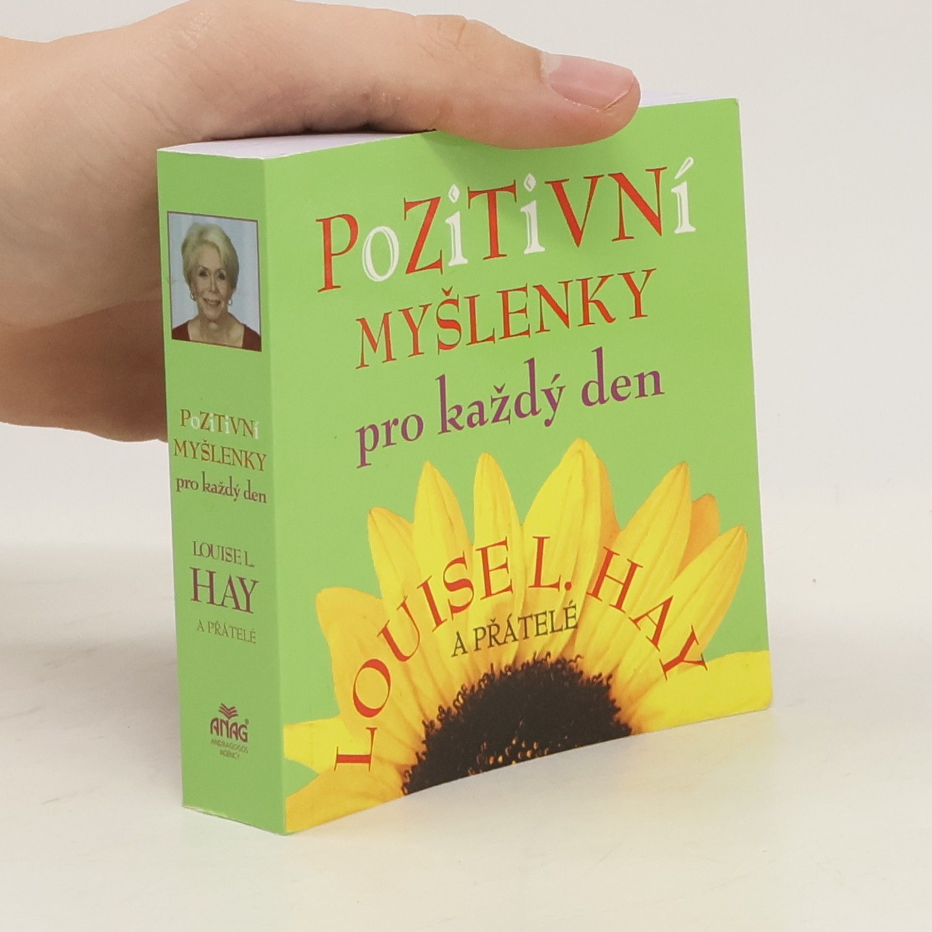 Louise Lynn Hay Pozitivní myšlenky pro každý den