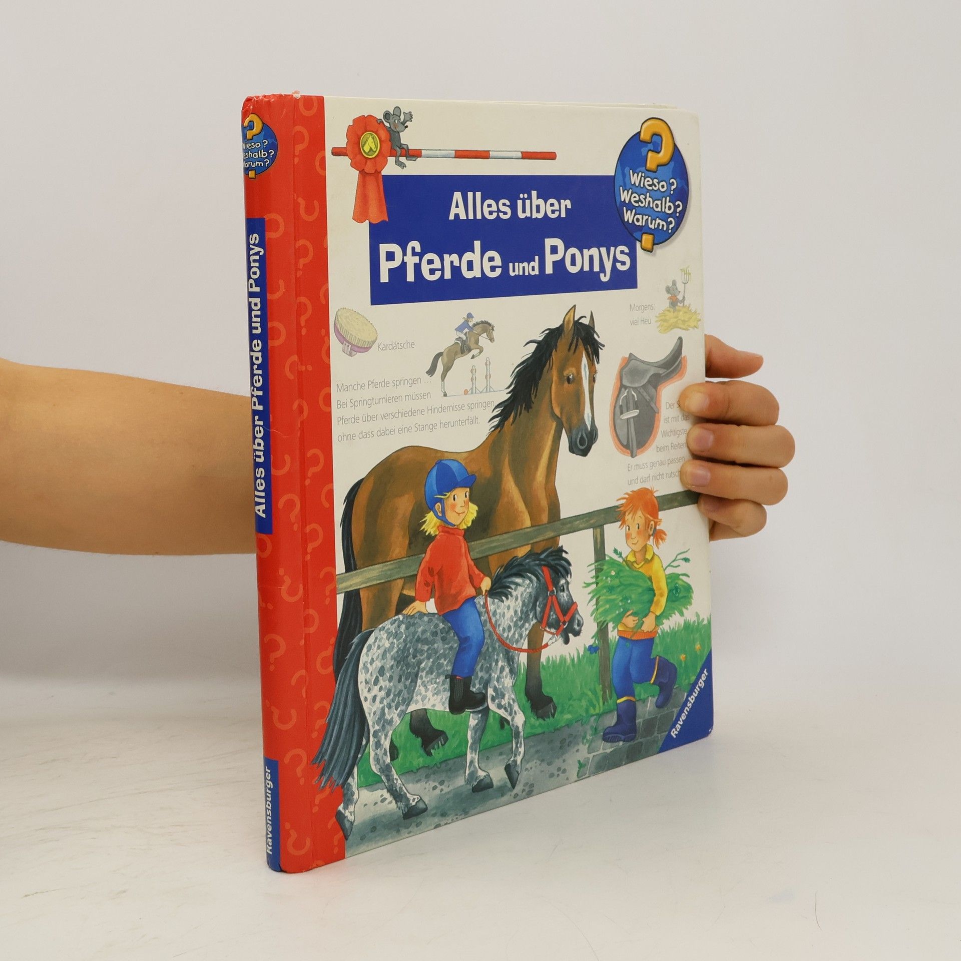 Andrea Erne Alles über Pferde und Ponys