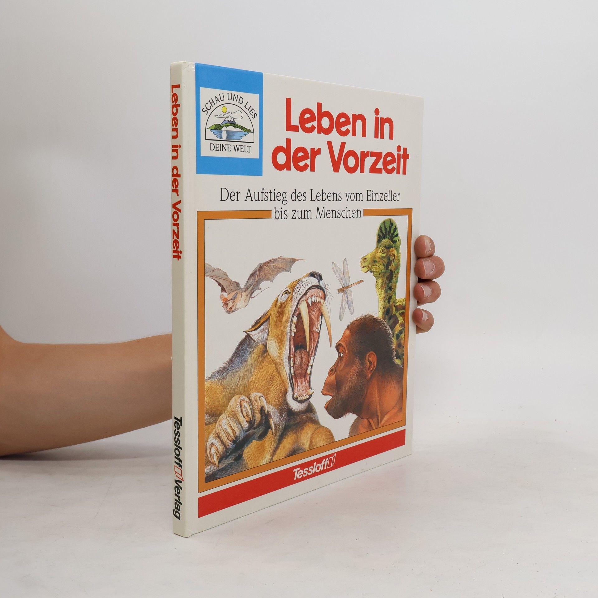 kolektiv Leben in der Vorzeit