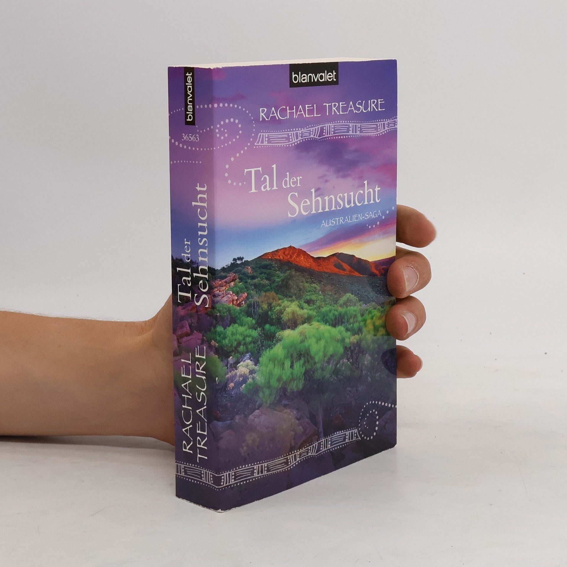 Rachael Treasure Tal der Sehnsucht