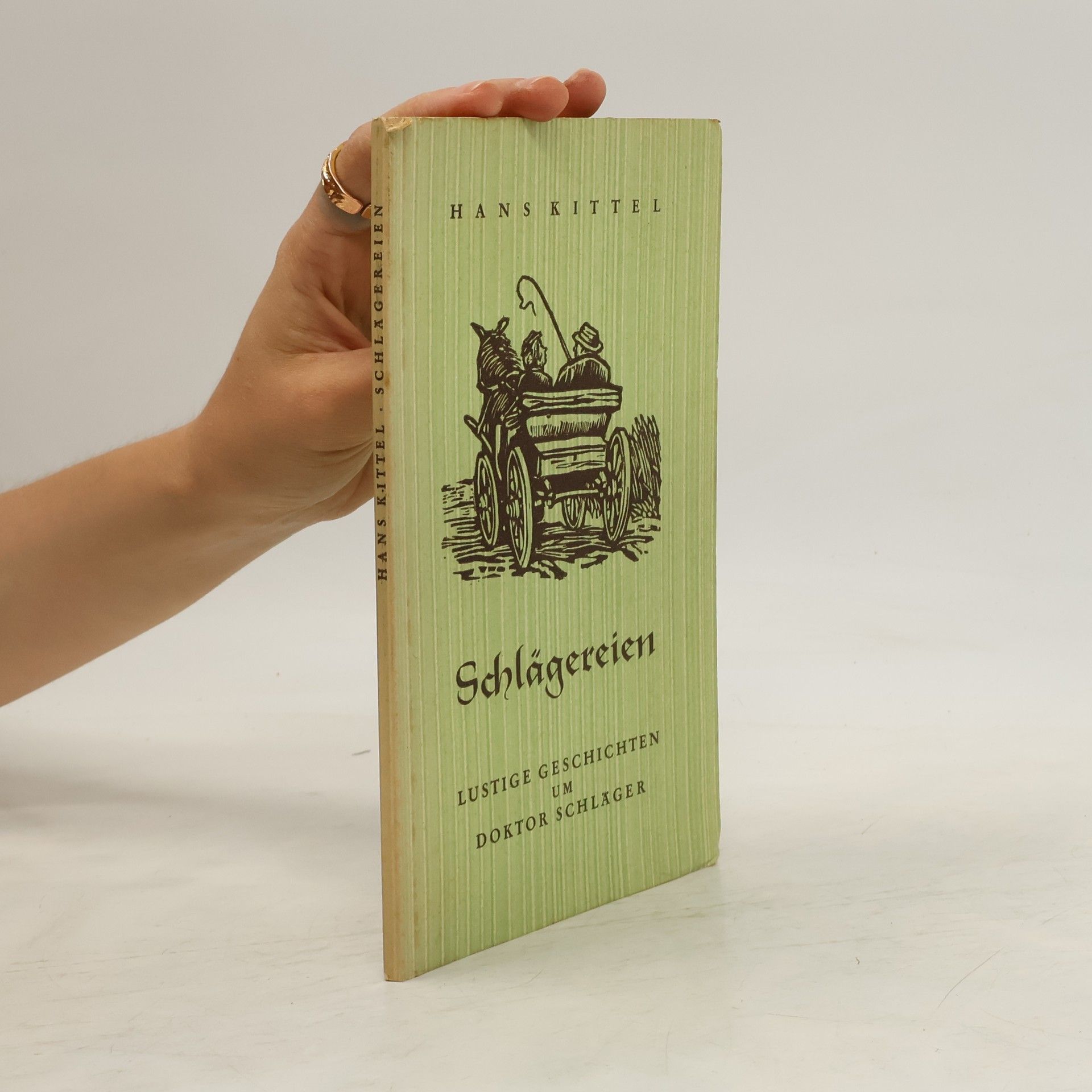 Kolektiv autorů Schlägereien in Parlamenten