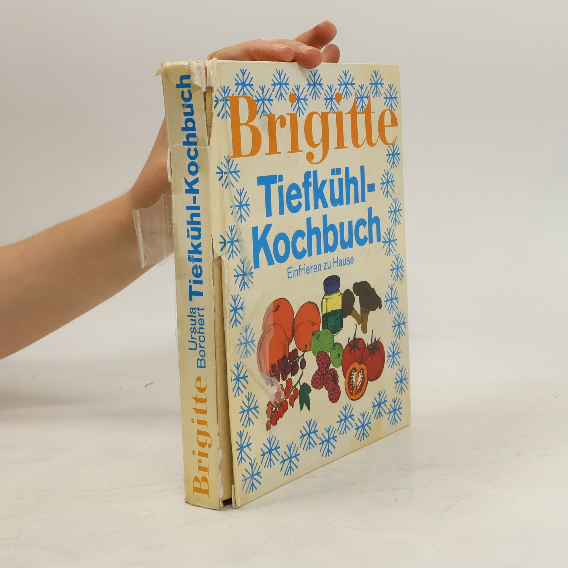 Ursula Borchert Brigitte. Tiefkühl-Kochbuch