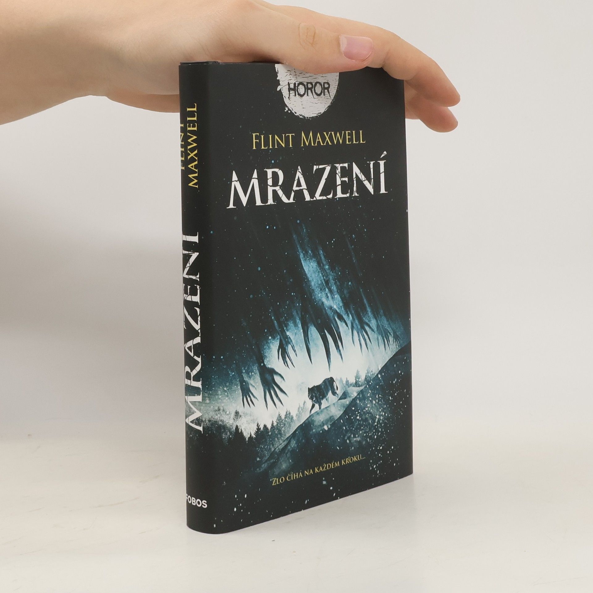 Flint Maxwell Mrazení
