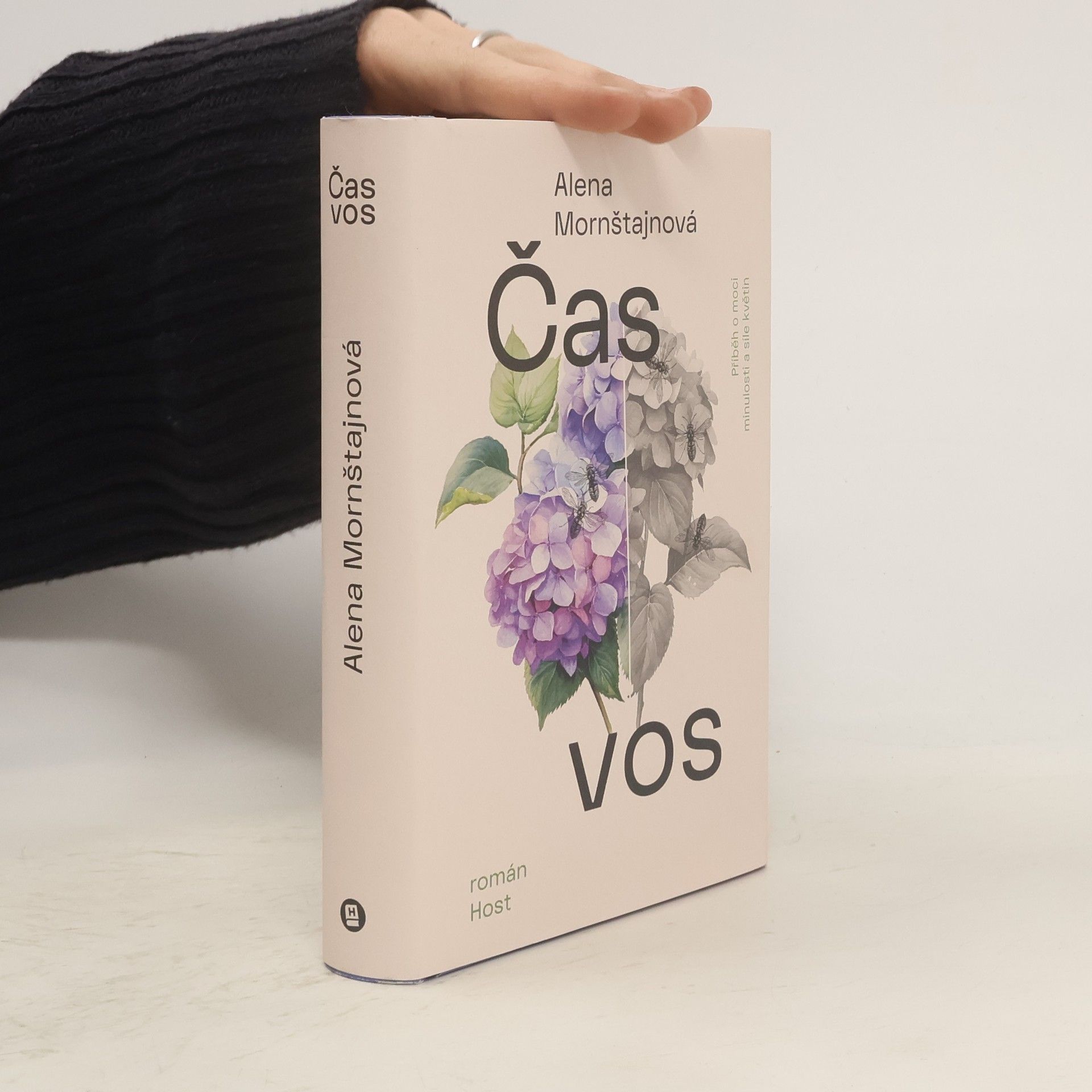 Alena Mornštajnová Čas vos