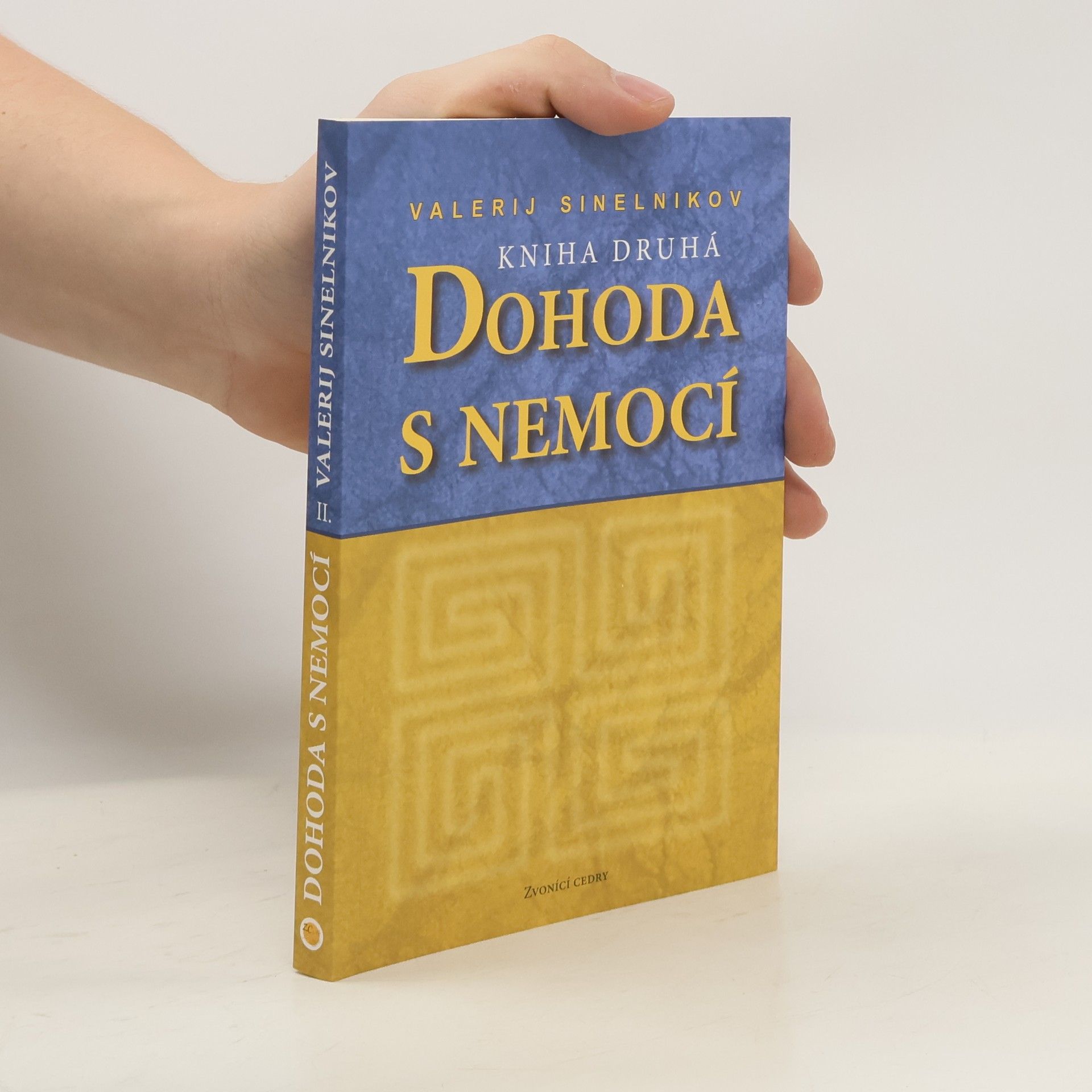 Valerij Vladimirovič Sinelnikov Dohoda s nemocí. Kniha druhá