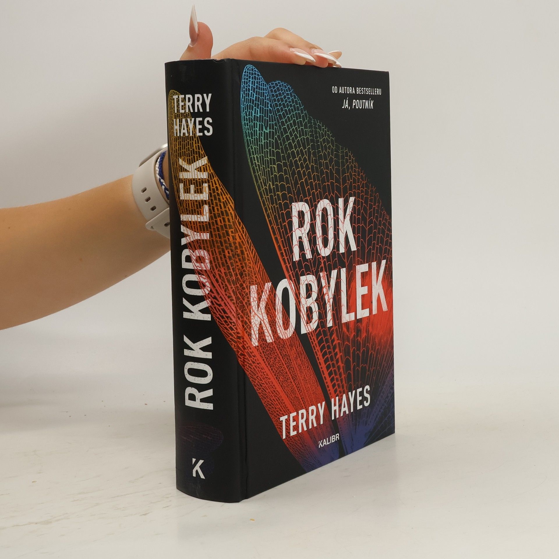 Terry Hayes Rok kobylek