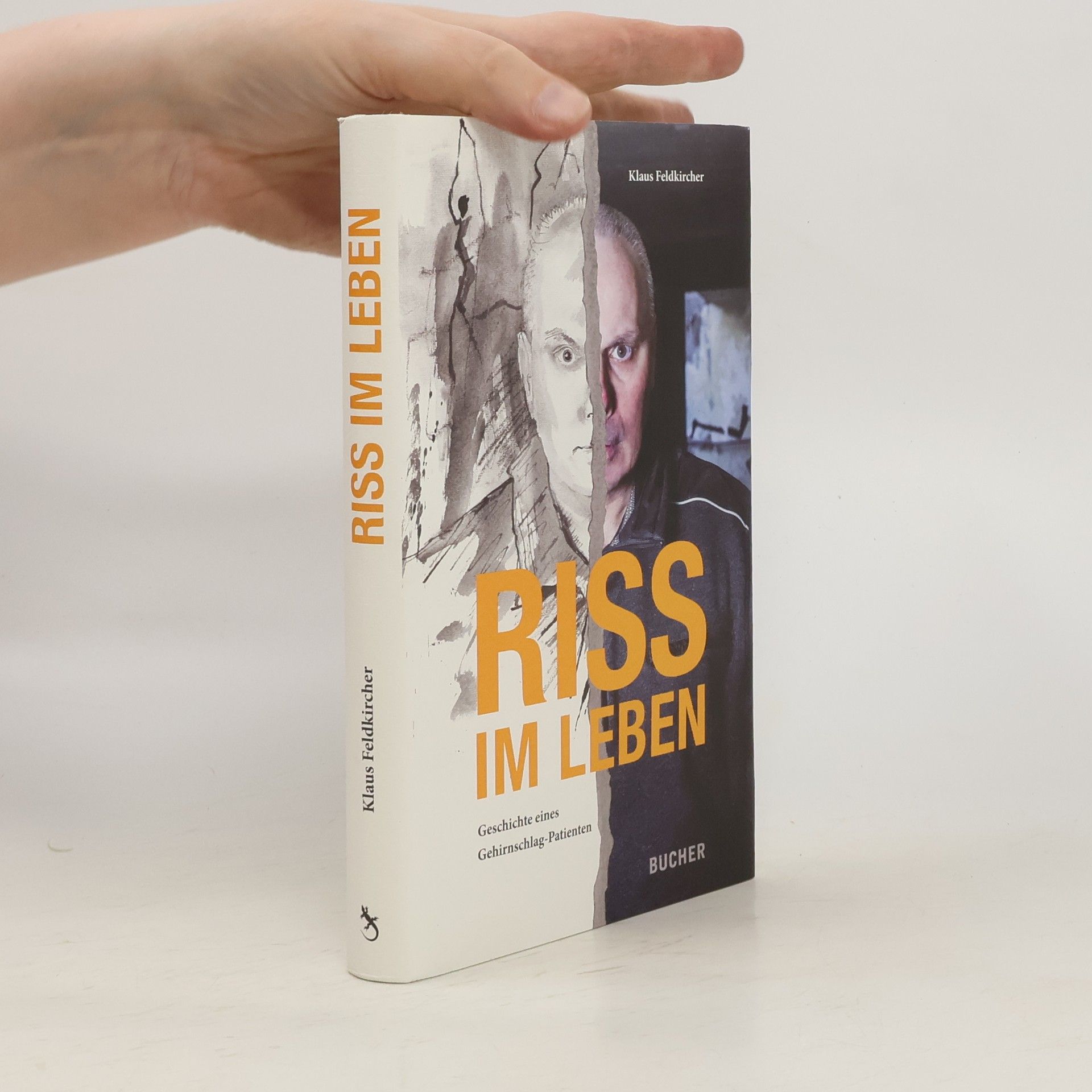 Klaus Feldkircher Riss im Leben