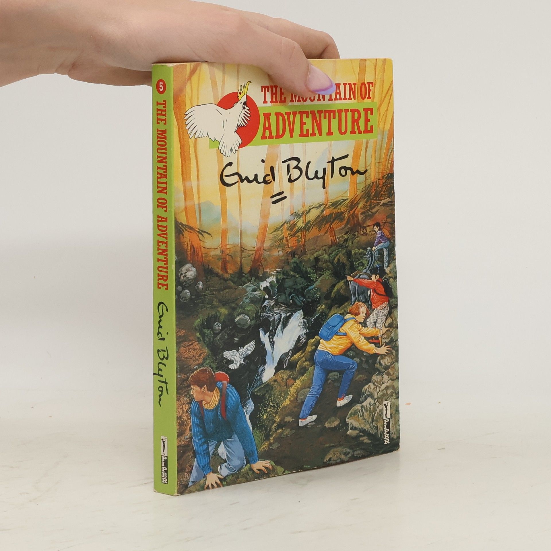 Enid Blyton The Mountain of Adventure