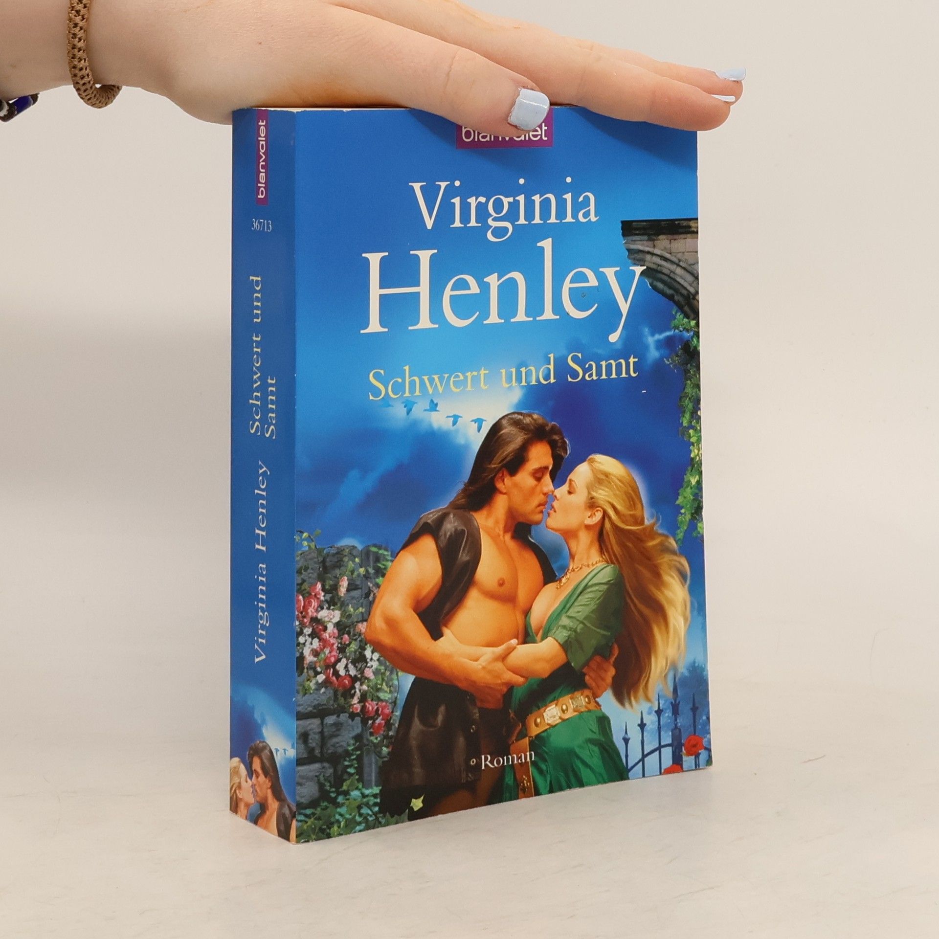 Virginia Henley Schwert und Samt