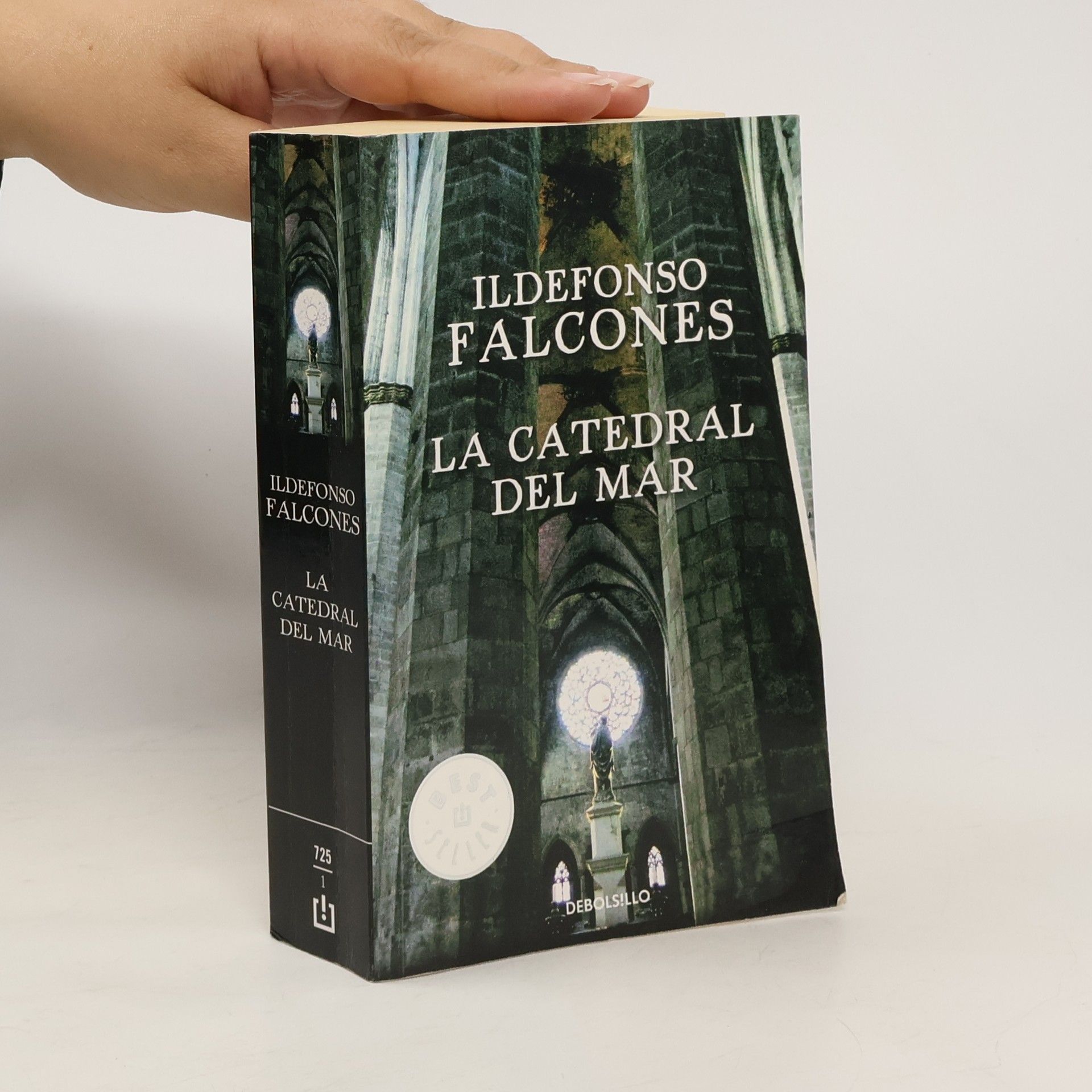 Ildefonso Falcones La catedral del mar