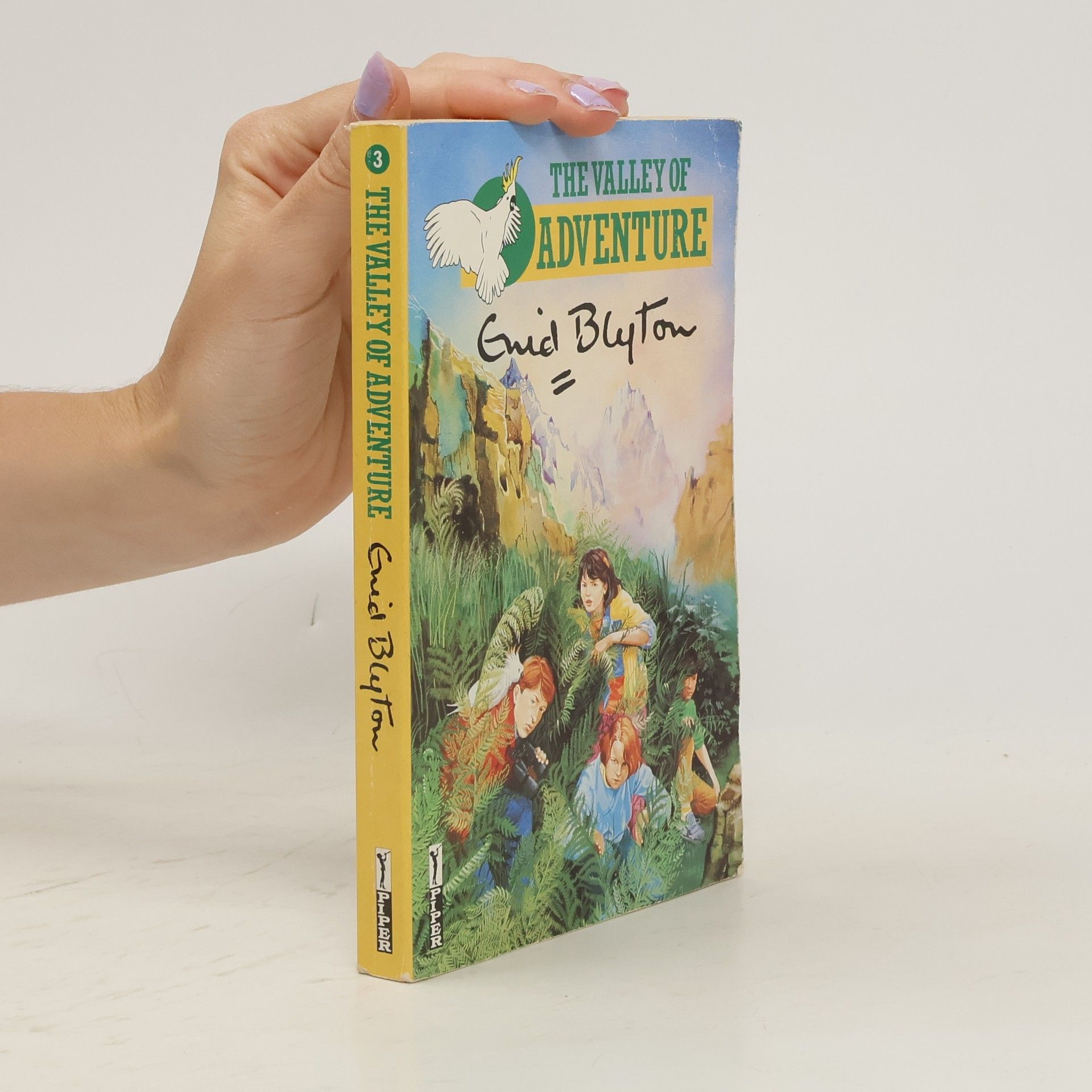 Enid Blyton The Valley of Adventure