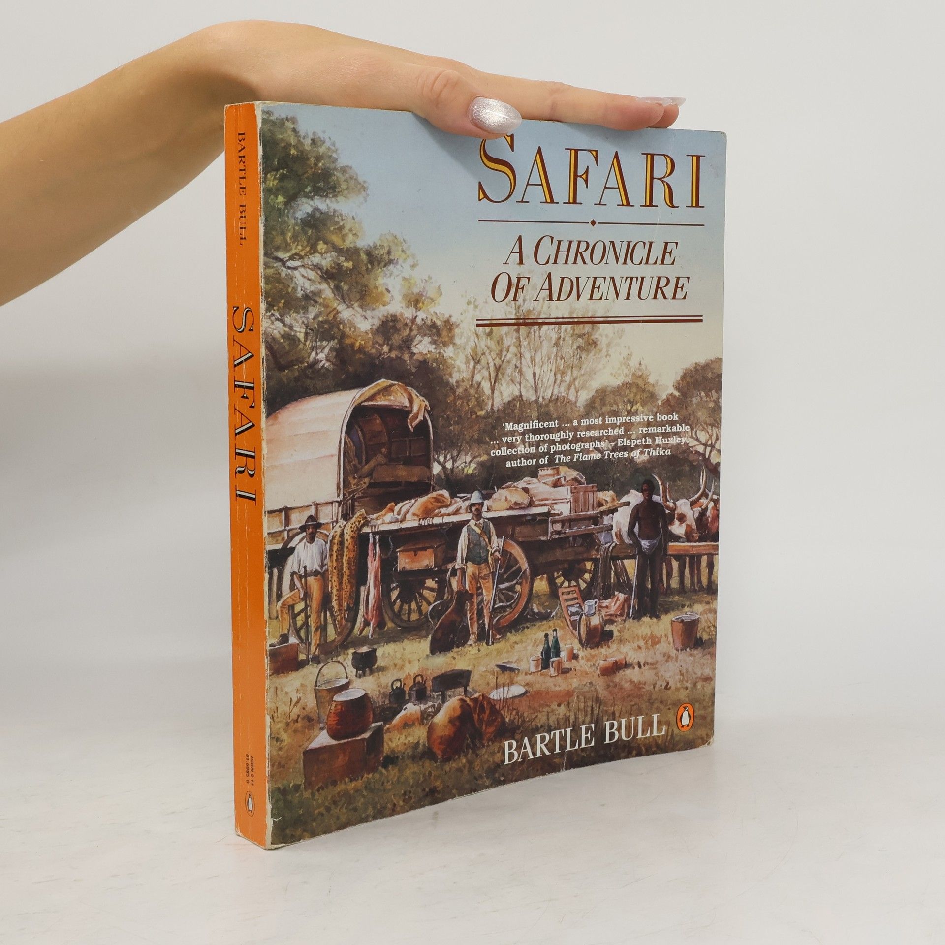 Bartle Bull Safari