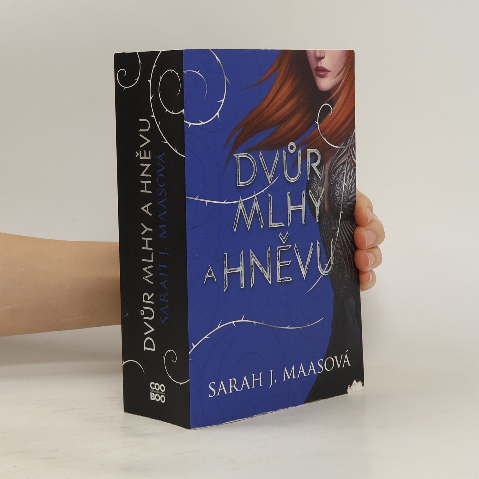 Sarah J. Maas Dvůr mlhy a hněvu