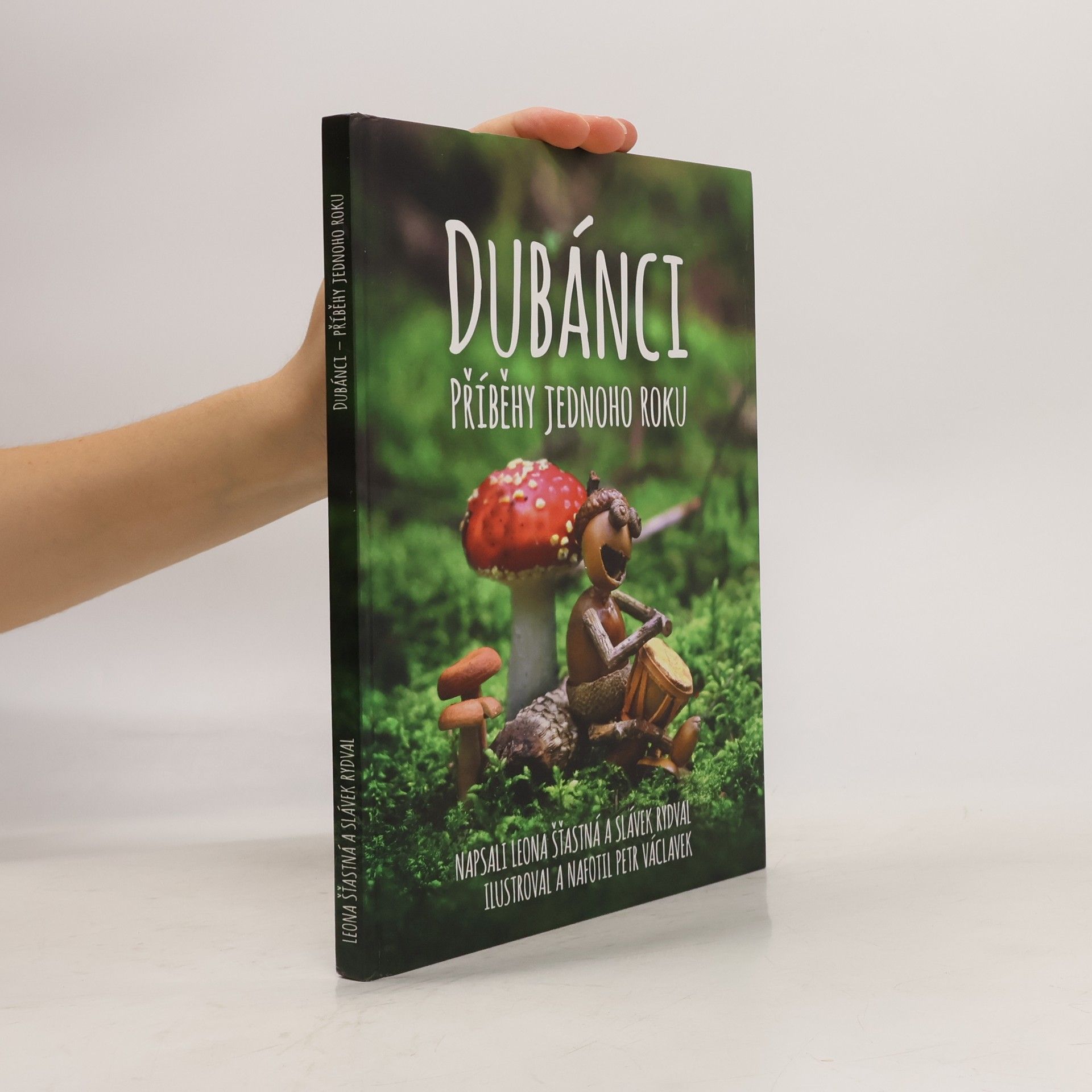 Leona Šťastná Dubánci: Příběhy jednoho roku