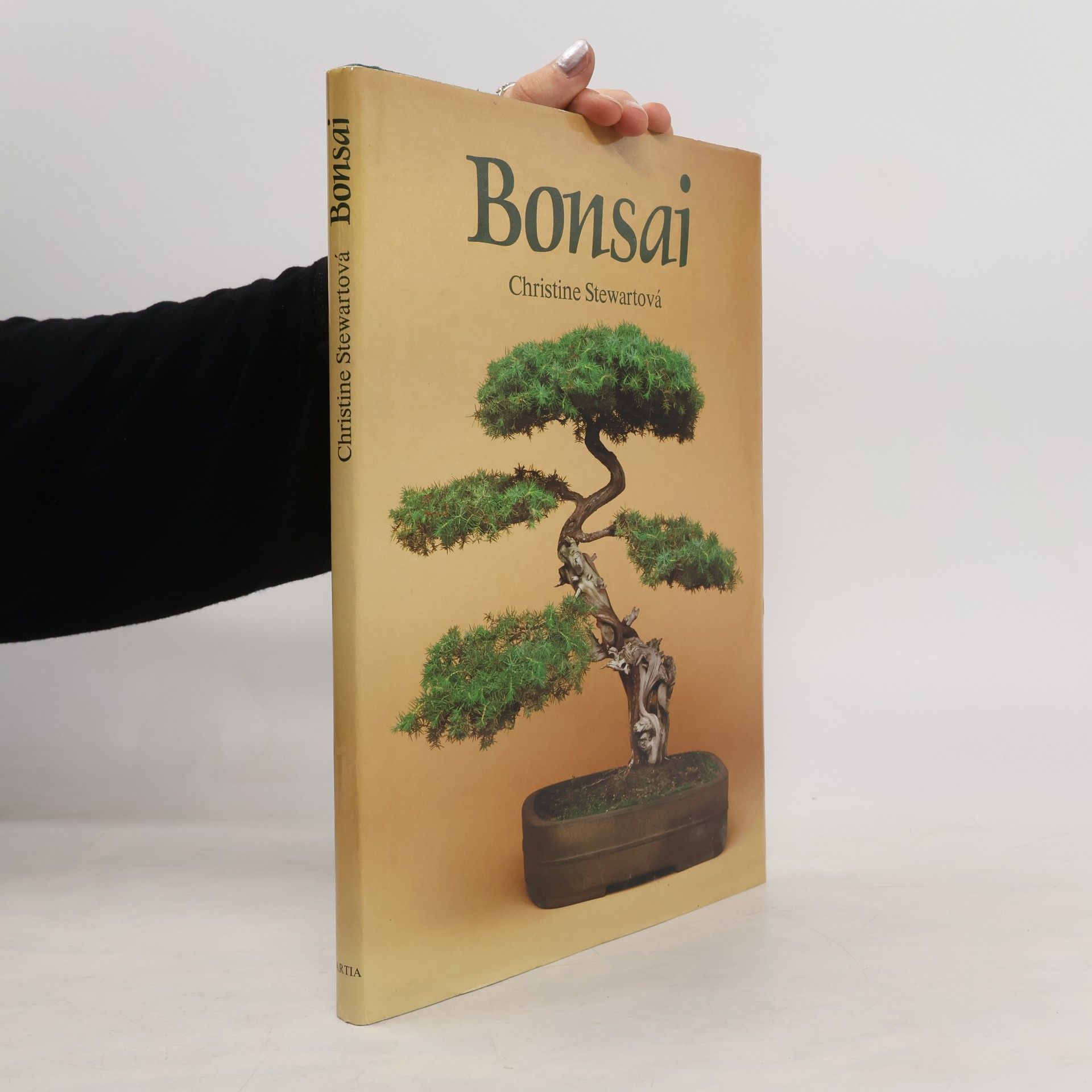 Christine Stewart Bonsai