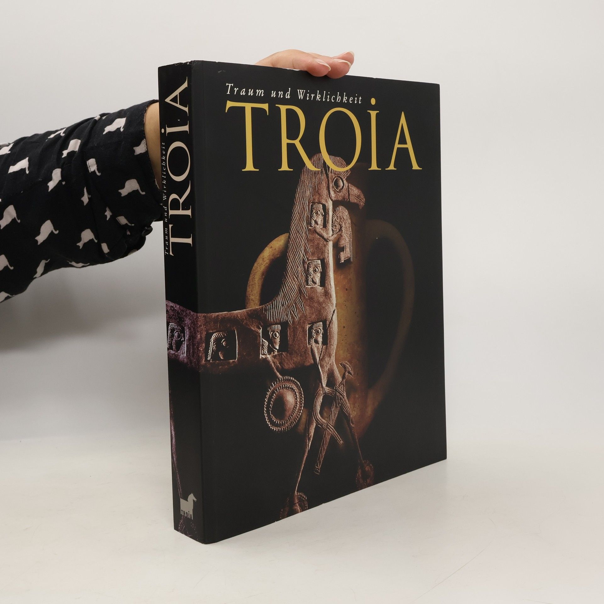 Autorenkollektiv Troia : Traum und wirklichkeit