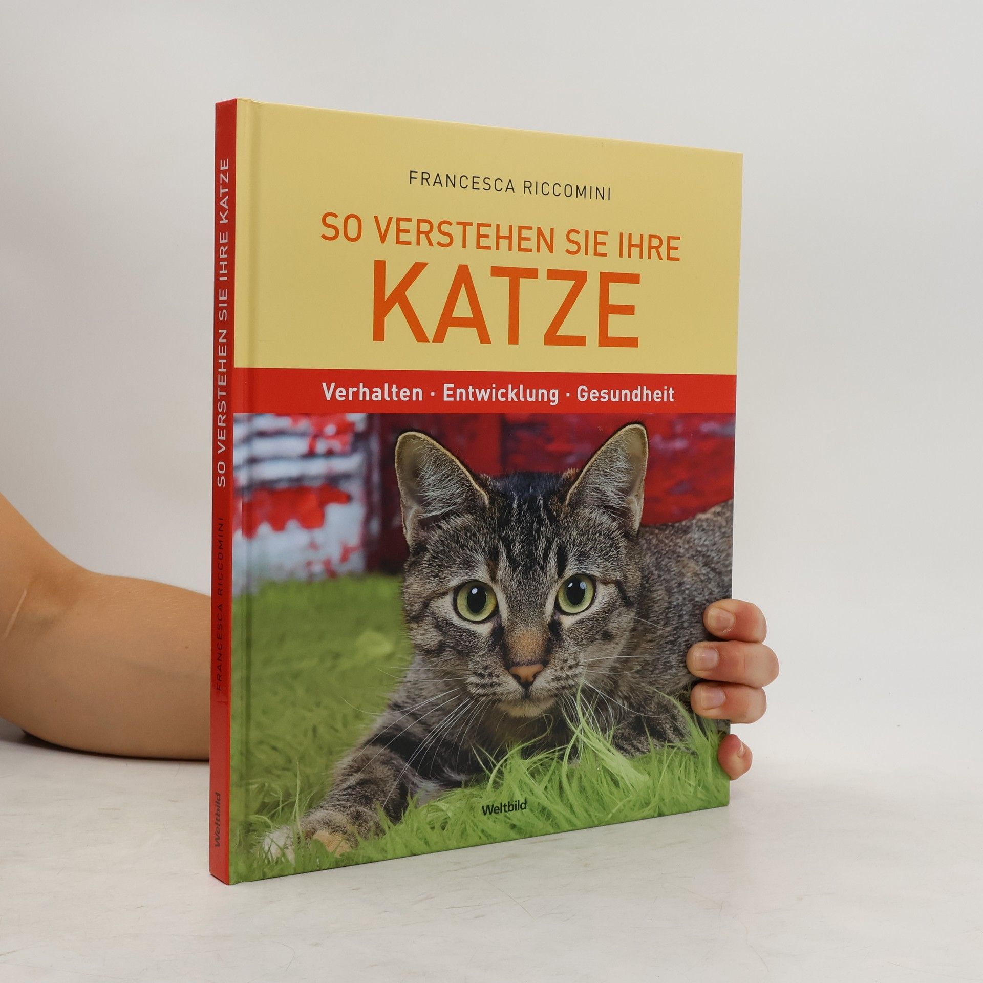 Francesca Riccomini So verstehen Sie Ihre Katze