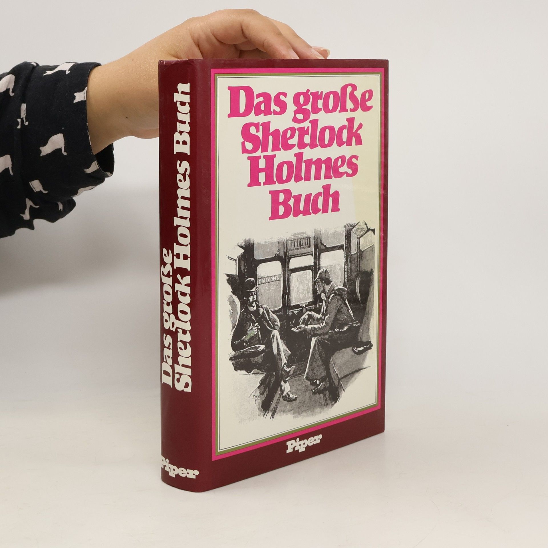 Michael Schulte Das grosse Sherlock Holmes Buch