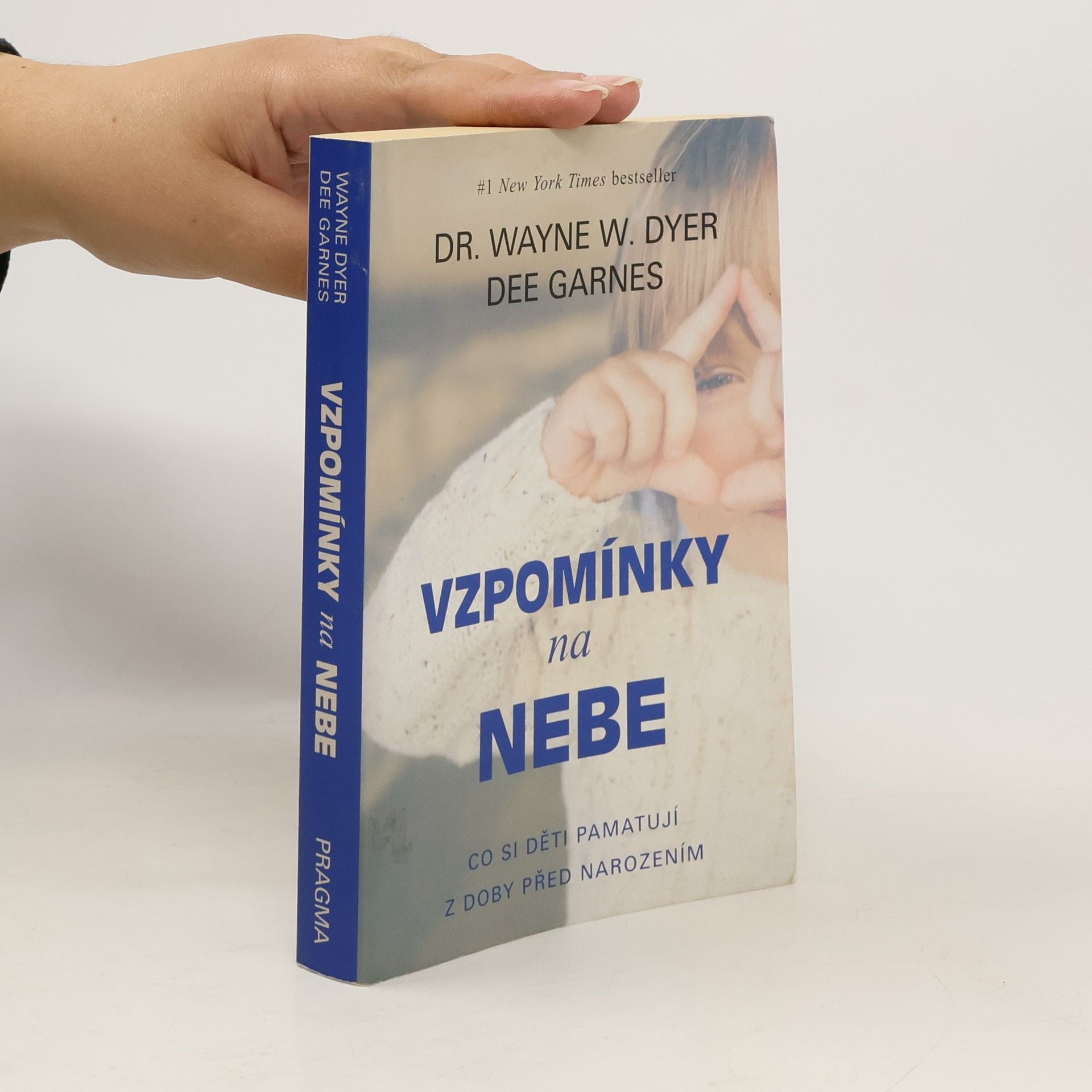 Wayne Dyer Vzpomínky na nebe