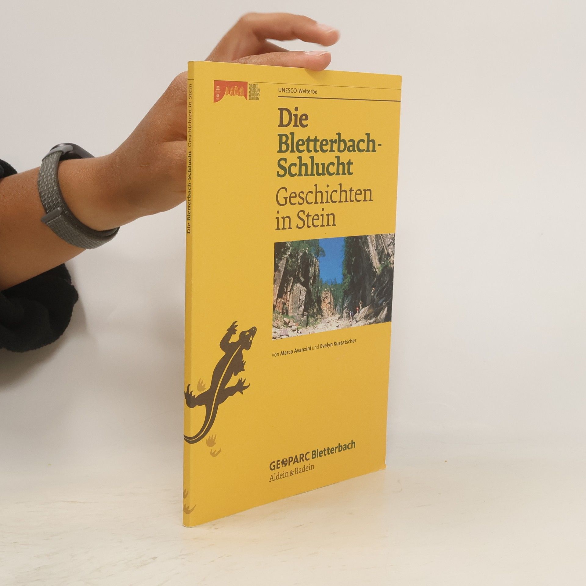 Marco Avanzini Die Bletterbach-Schlucht. Geschichten in Stein