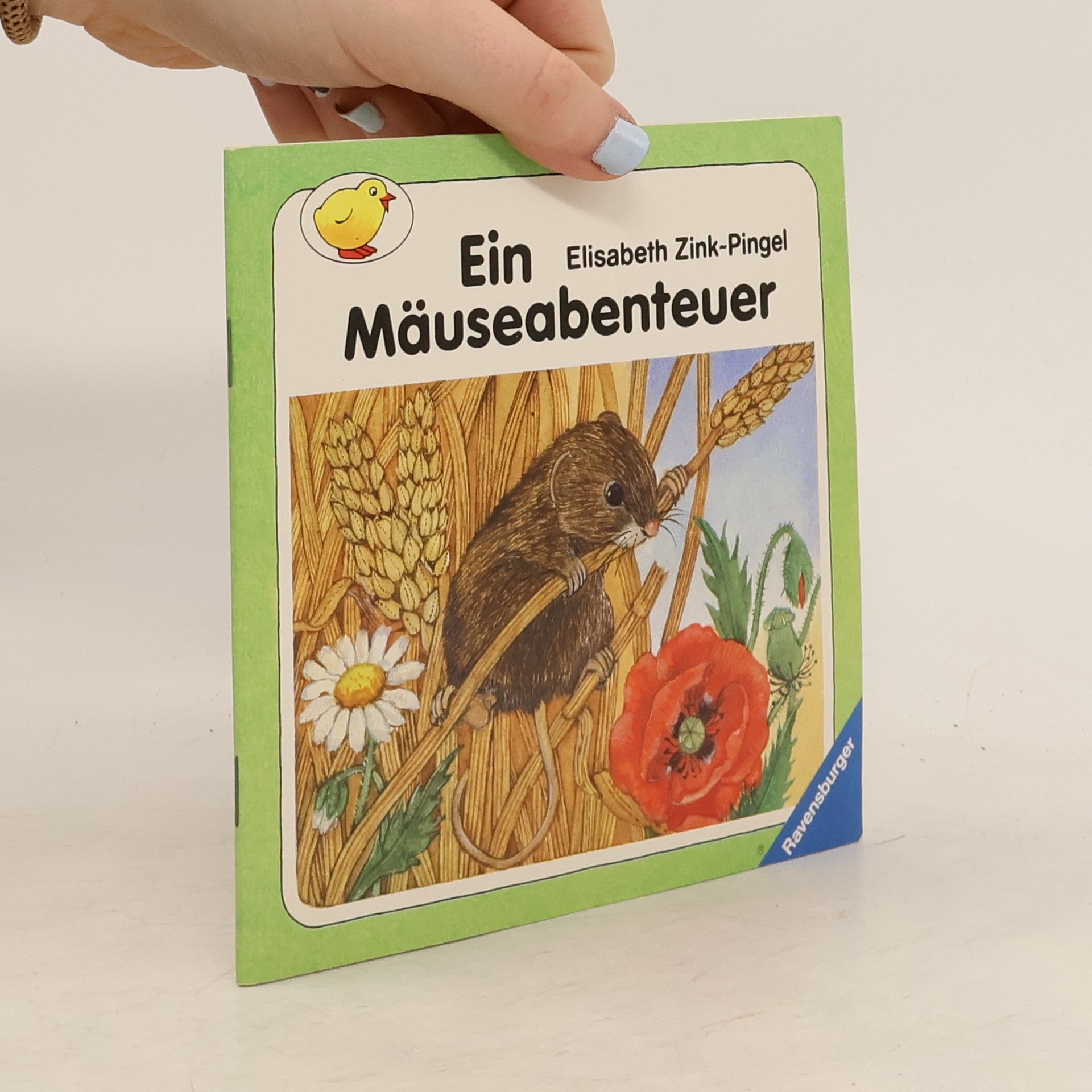 Anu Stohner Ein Mäuseabenteuer