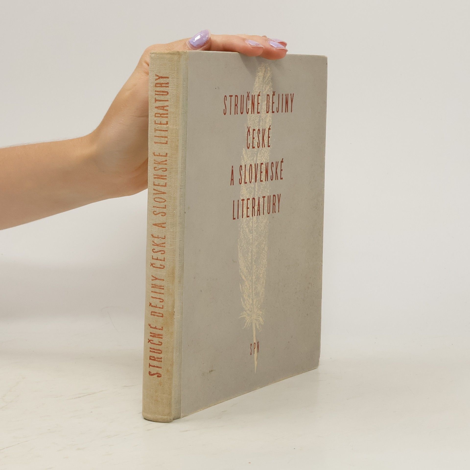 Vítězslav Tichý Stručné dějiny české a slovenské literatury