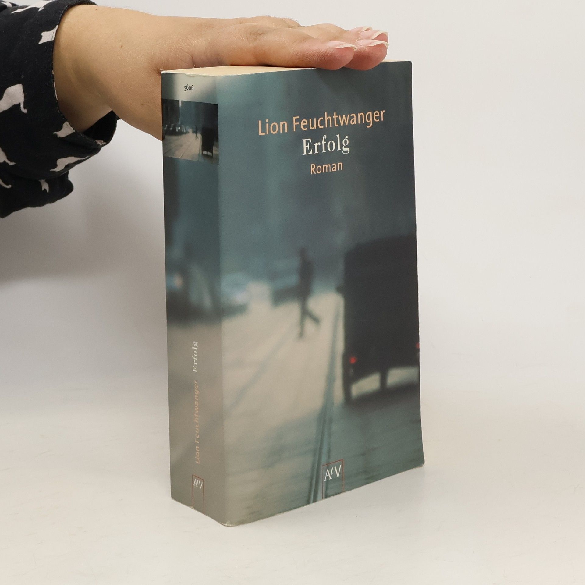 Lion Feuchtwanger Erfolg
