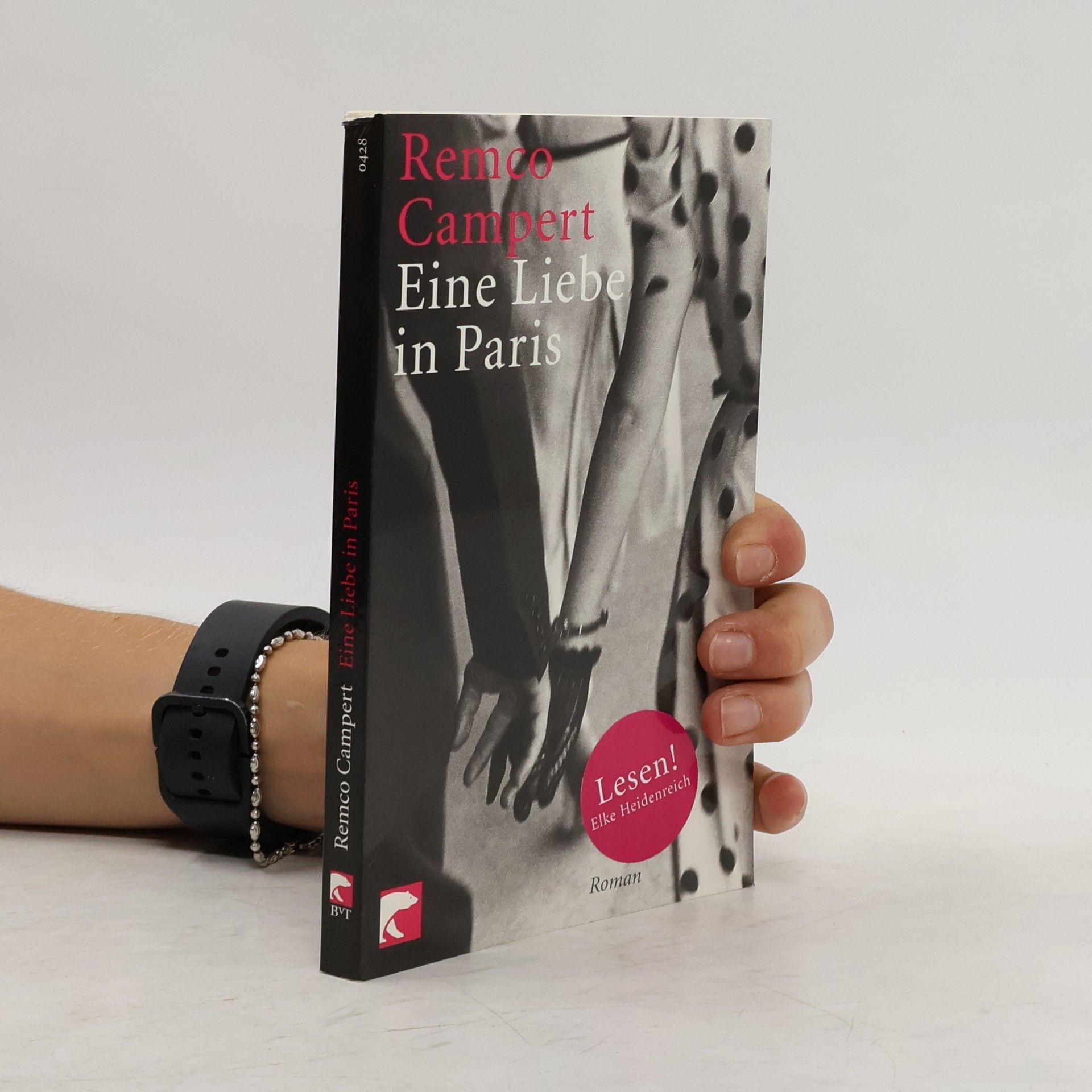Remco Campert Eine Liebe in Paris