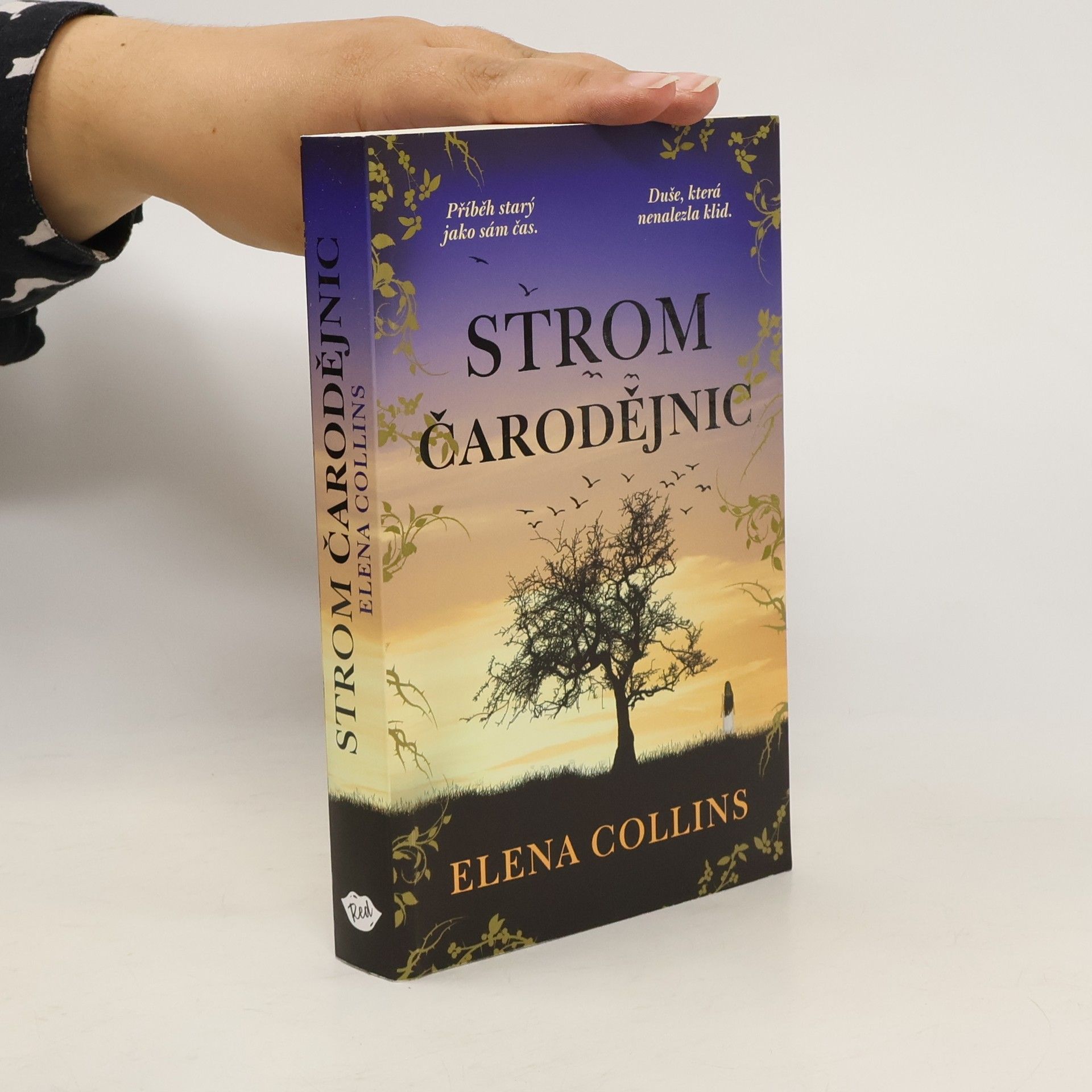 Jana Buchalová Strom čarodějnic