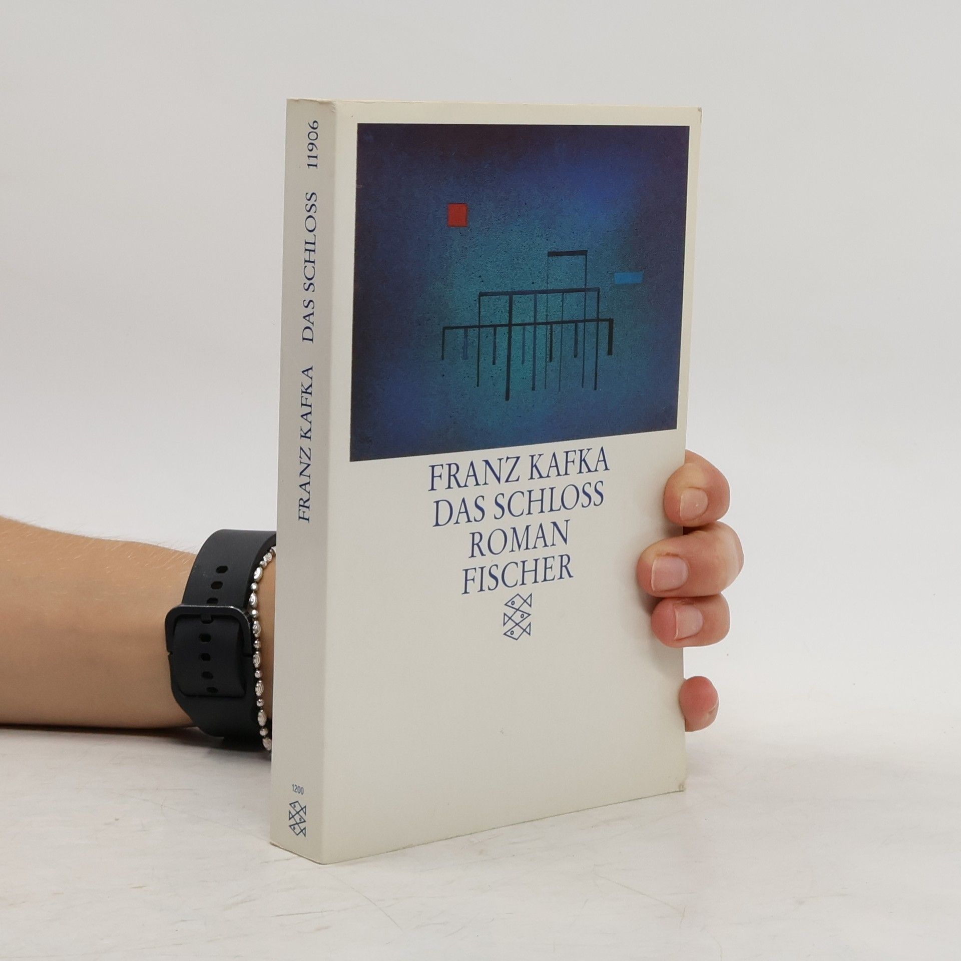 Franz Kafka Das Schloss