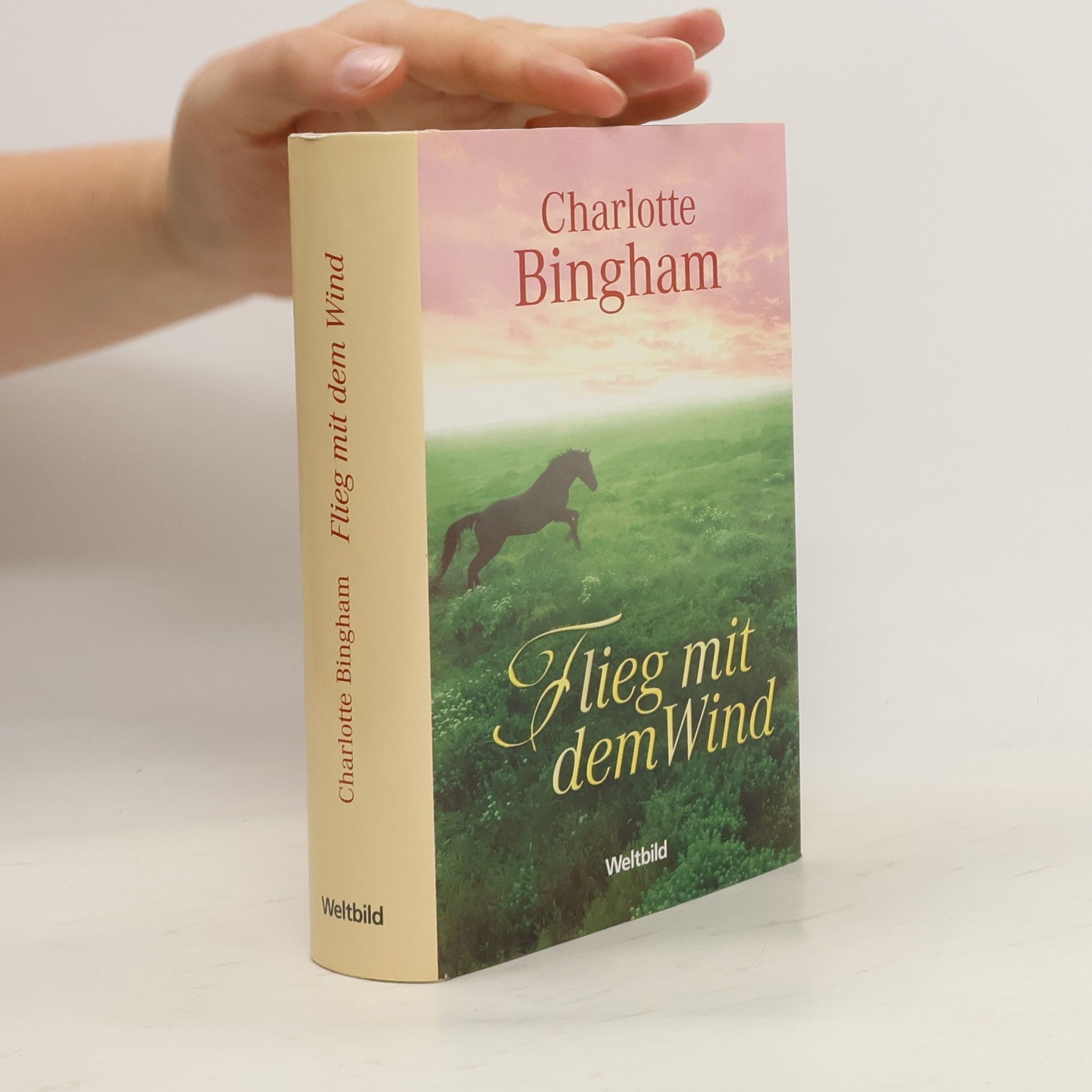 Charlotte Bingham Flieg mit dem Wind