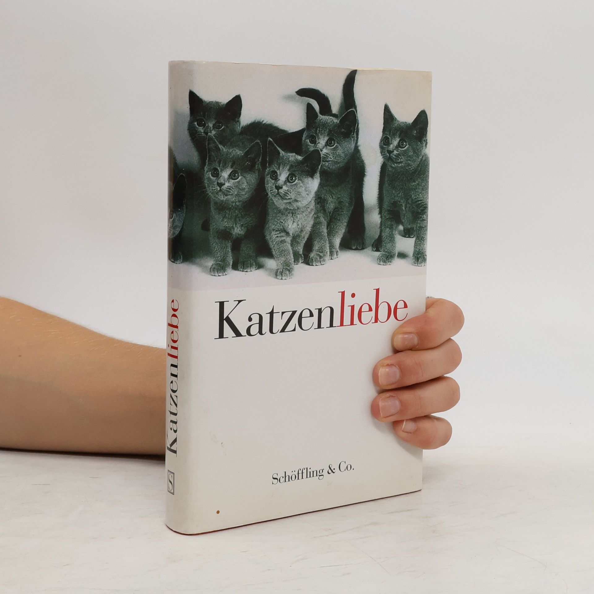 Esther Scheidegger Katzenliebe