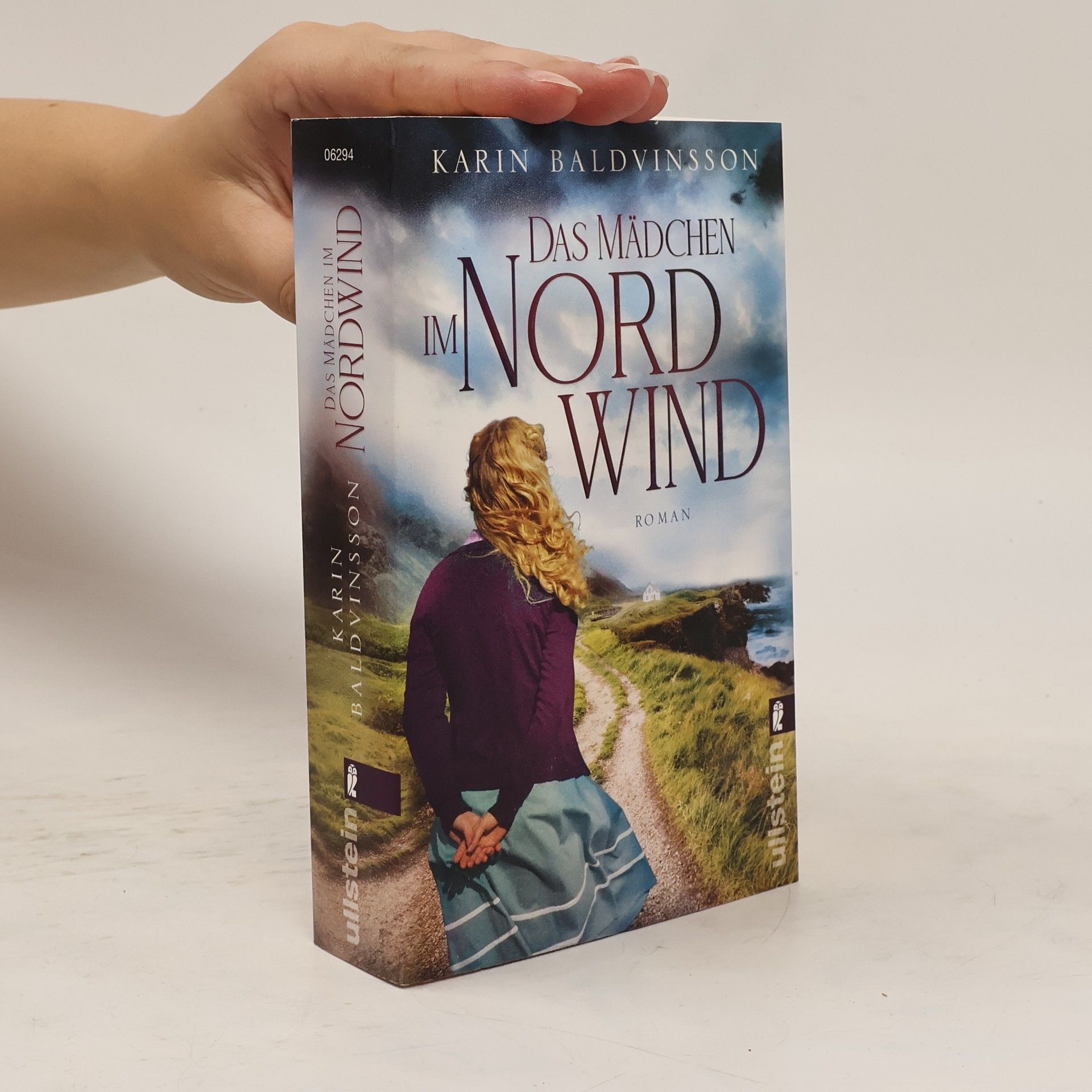 Karin Baldvinsson Das Mädchen im Nordwind