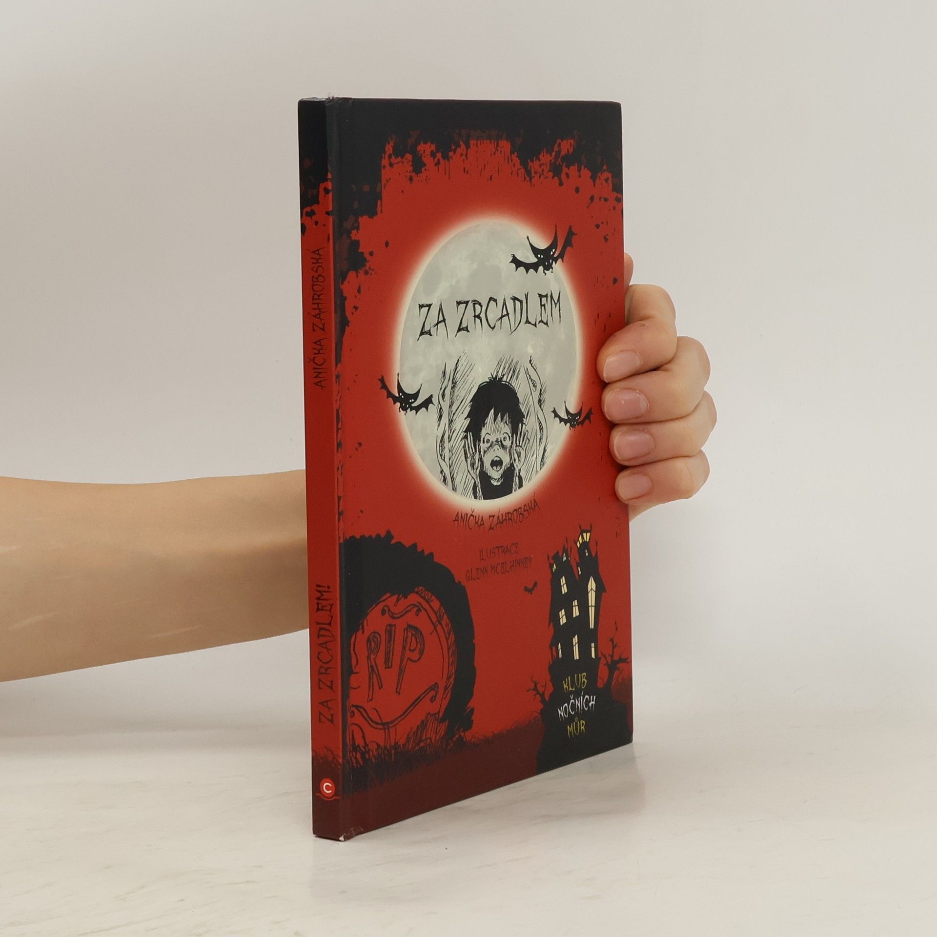 Annie Graves Za zrcadlem : klub nočních můr