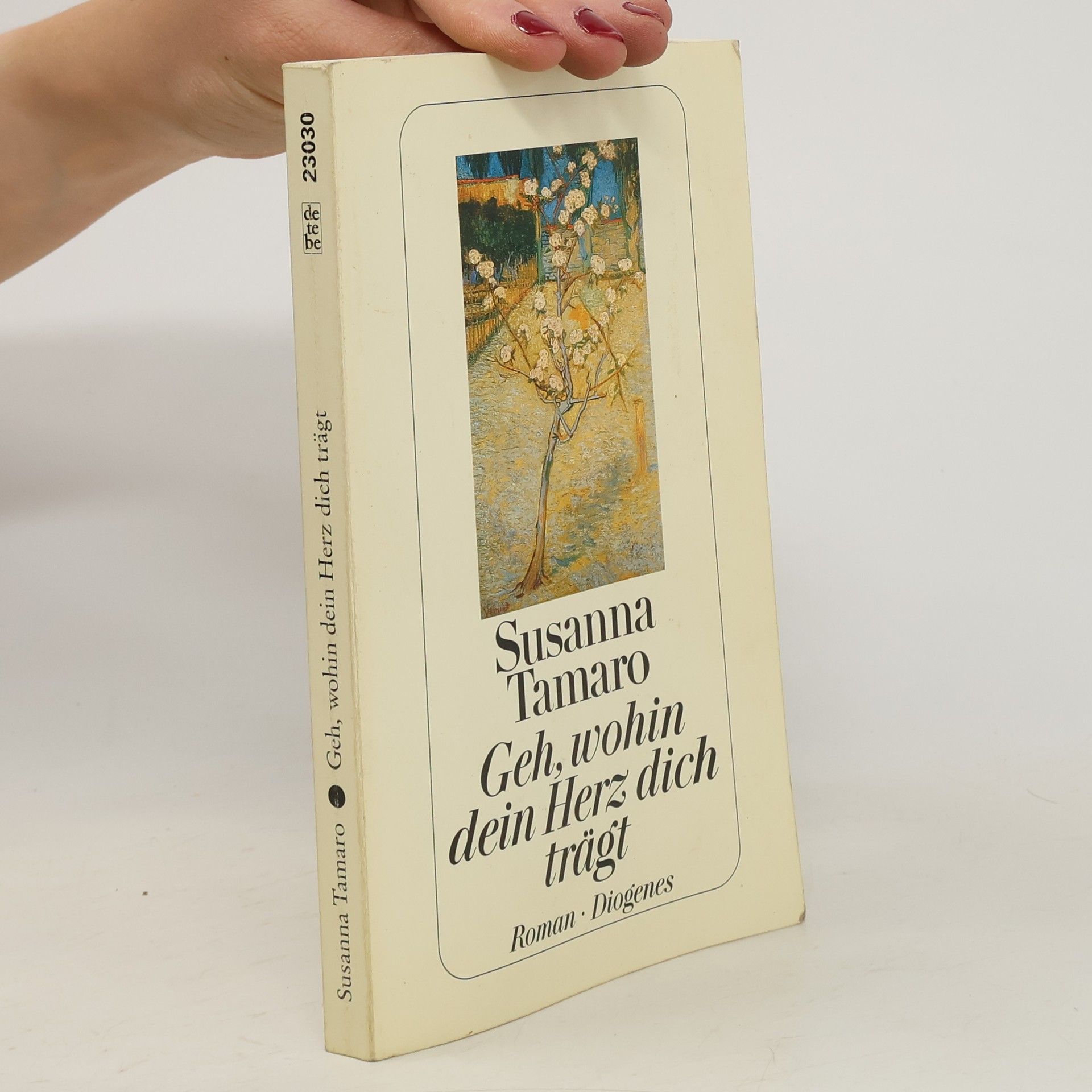 Susanna Tamaro Geh, wohin dein Herz dich trägt