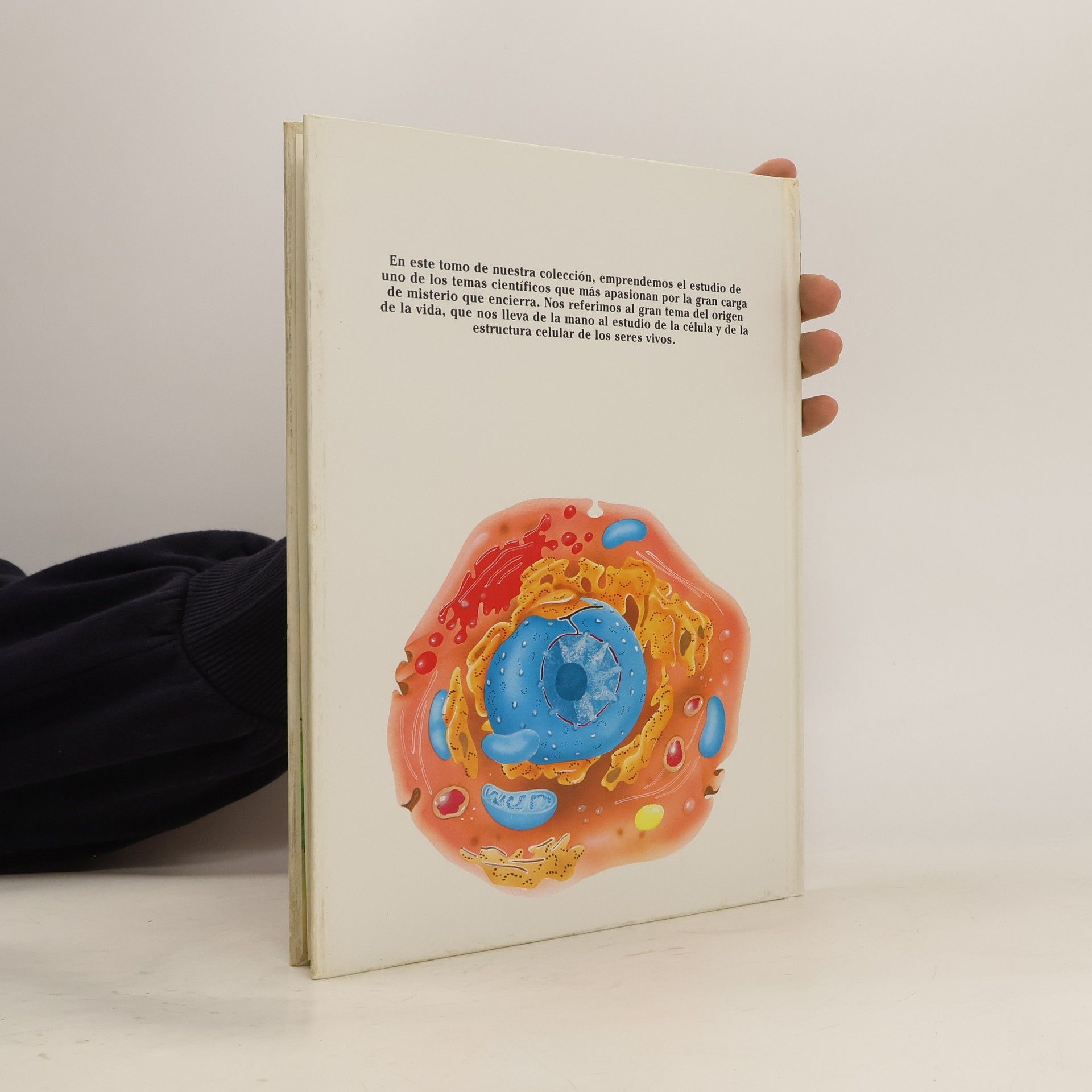 Autores varios Erase una vez el cuerpo human. La digestión