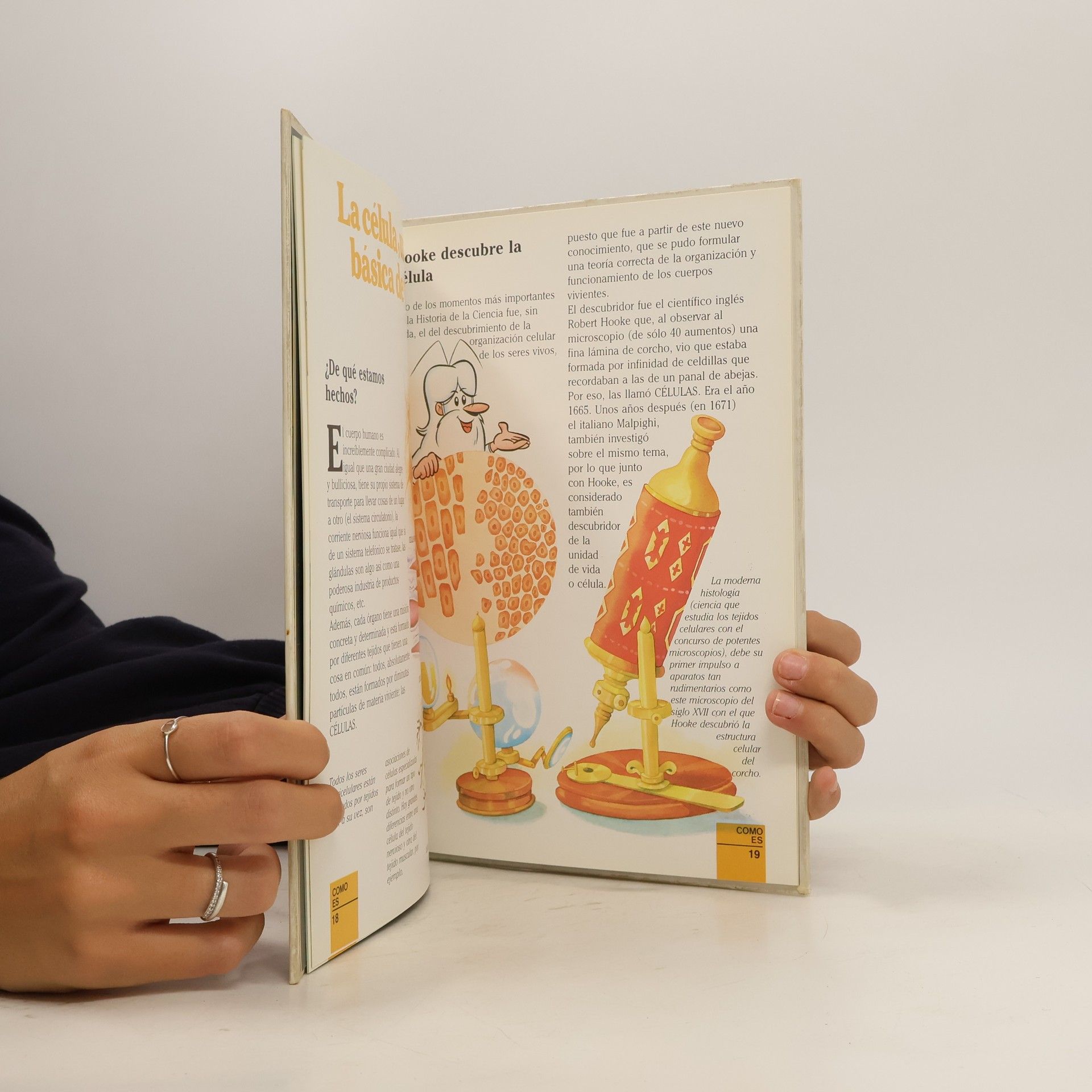 Autores varios Erase una vez el cuerpo human. La digestión