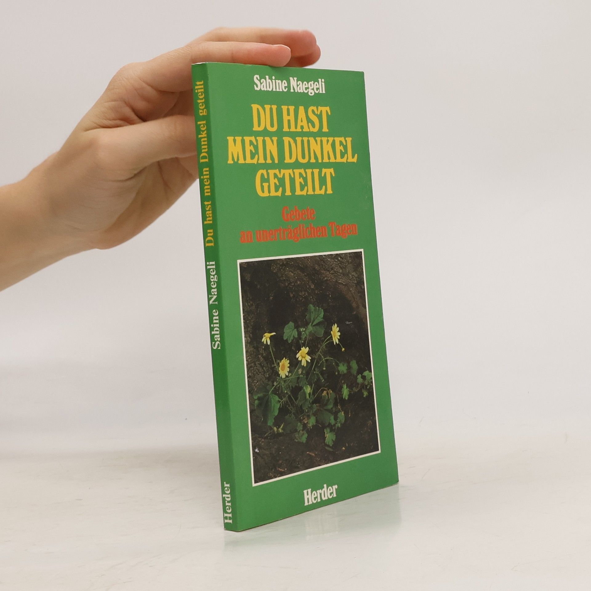 Sabine Naegeli Du hast mein Dunkel geteilt