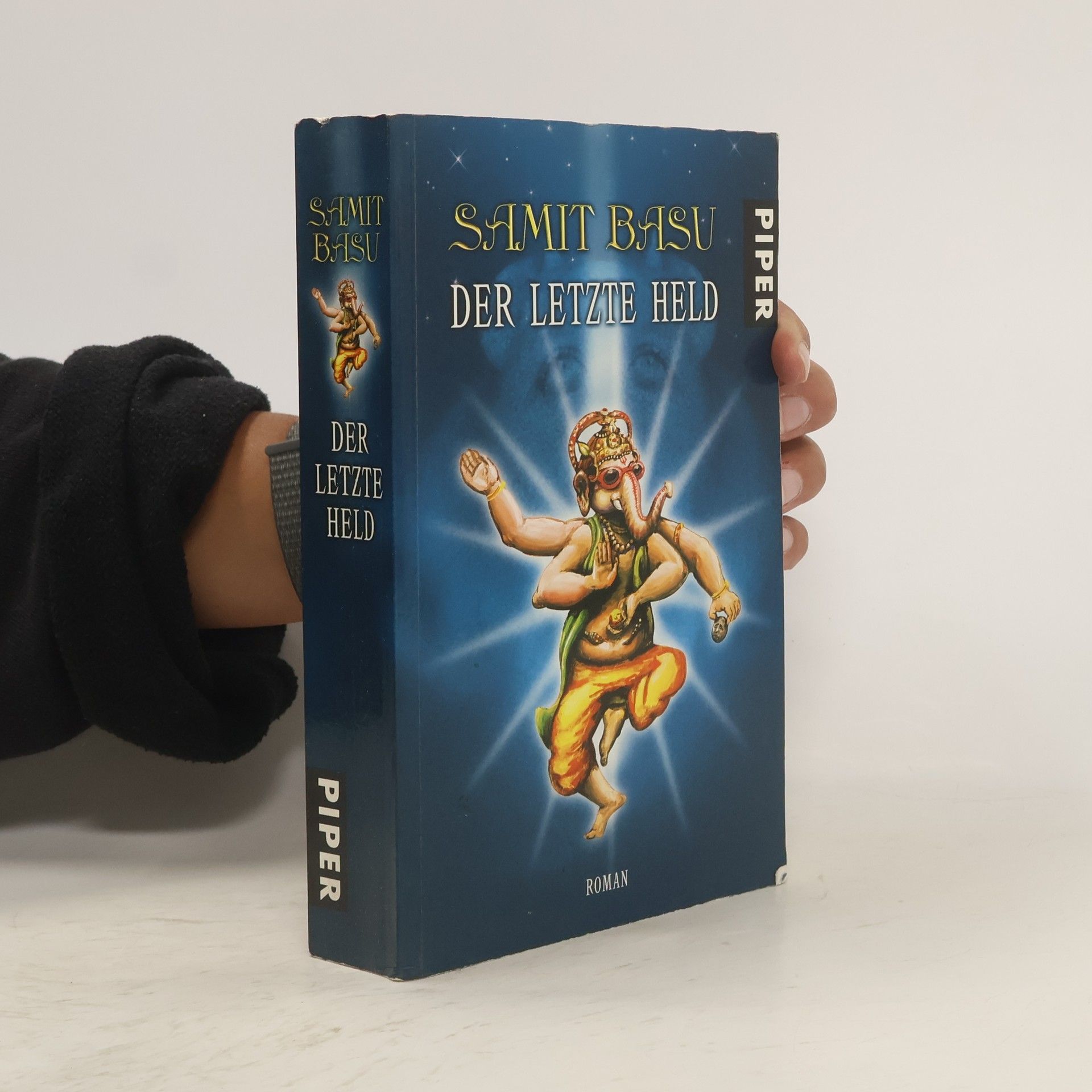 Samit Basu Der letzte Held